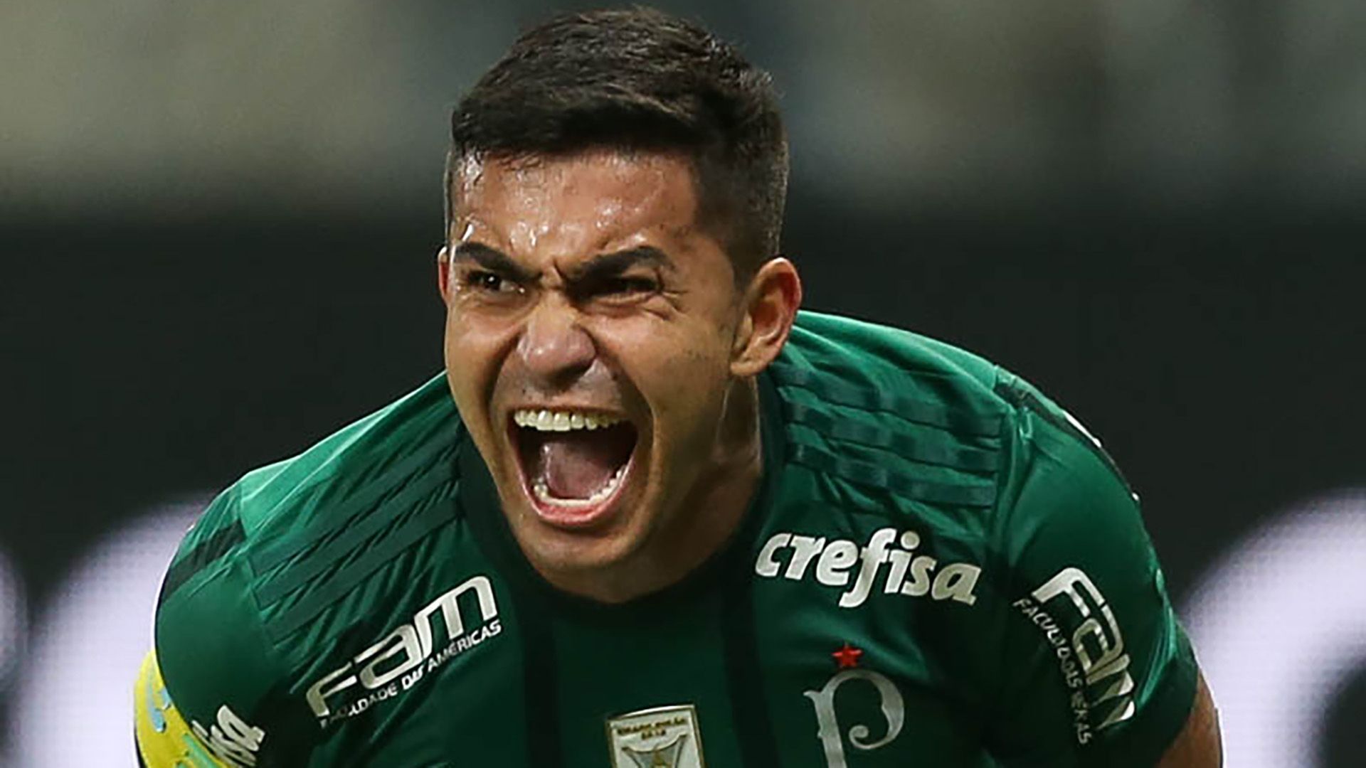 Dudu Palmeiras Cruzeiro Copa do Brasil 28062017