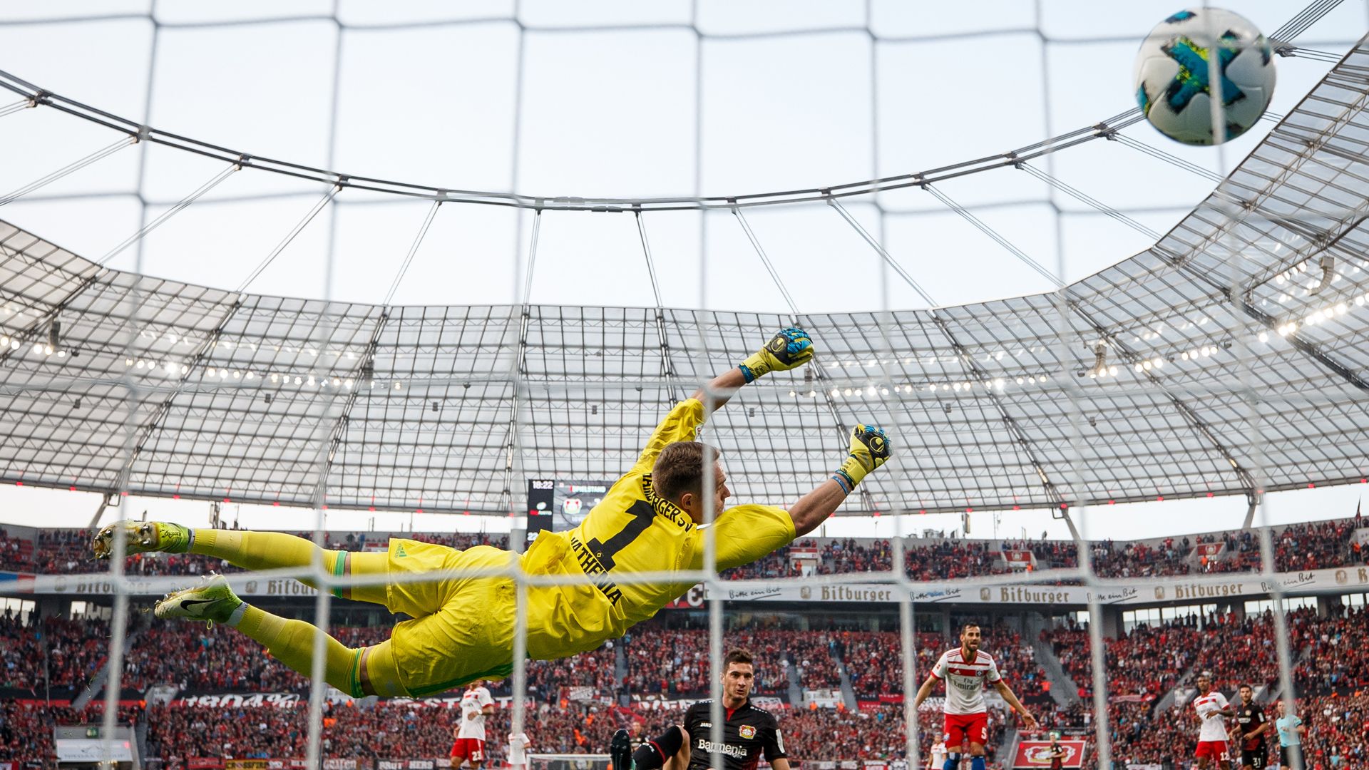 Lucas Alario, Christian Mathenia, Leverkusen - Hamburg, Bundesliga, 09242017