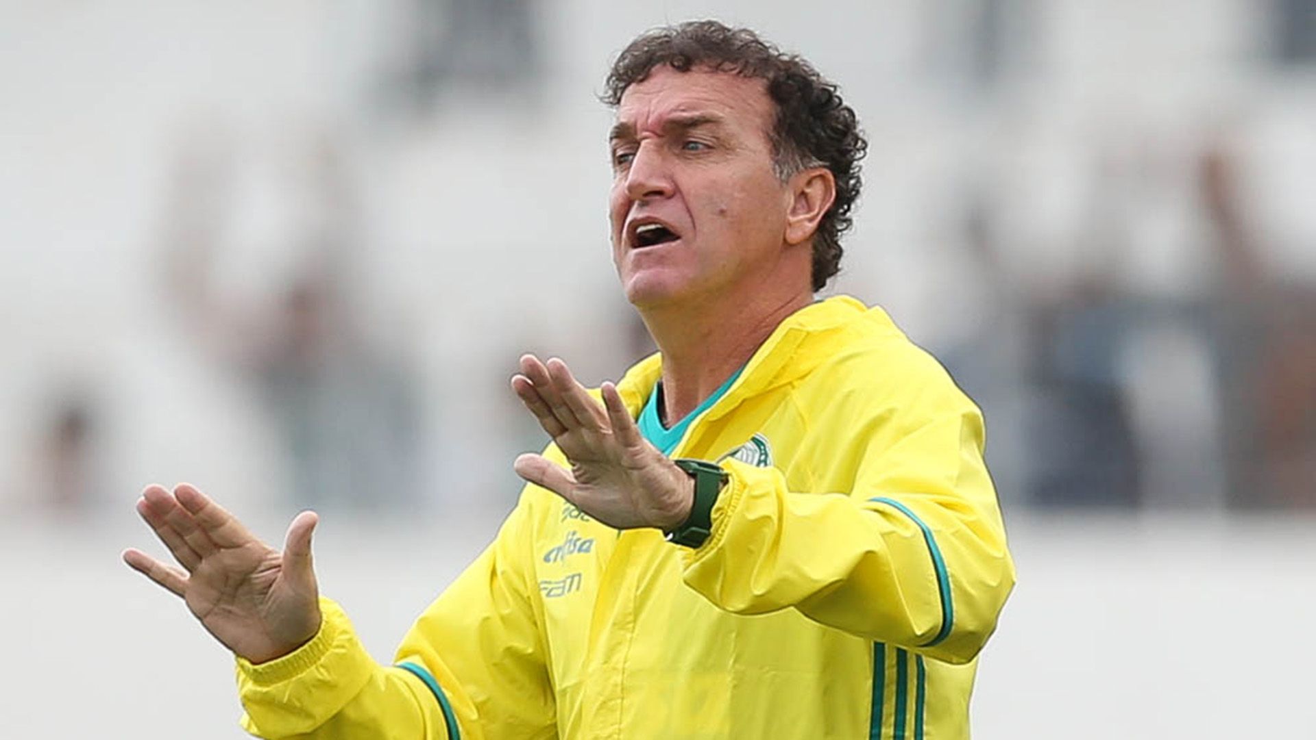 Cuca Ponte Preta Palmeiras Brasileirão 21052016