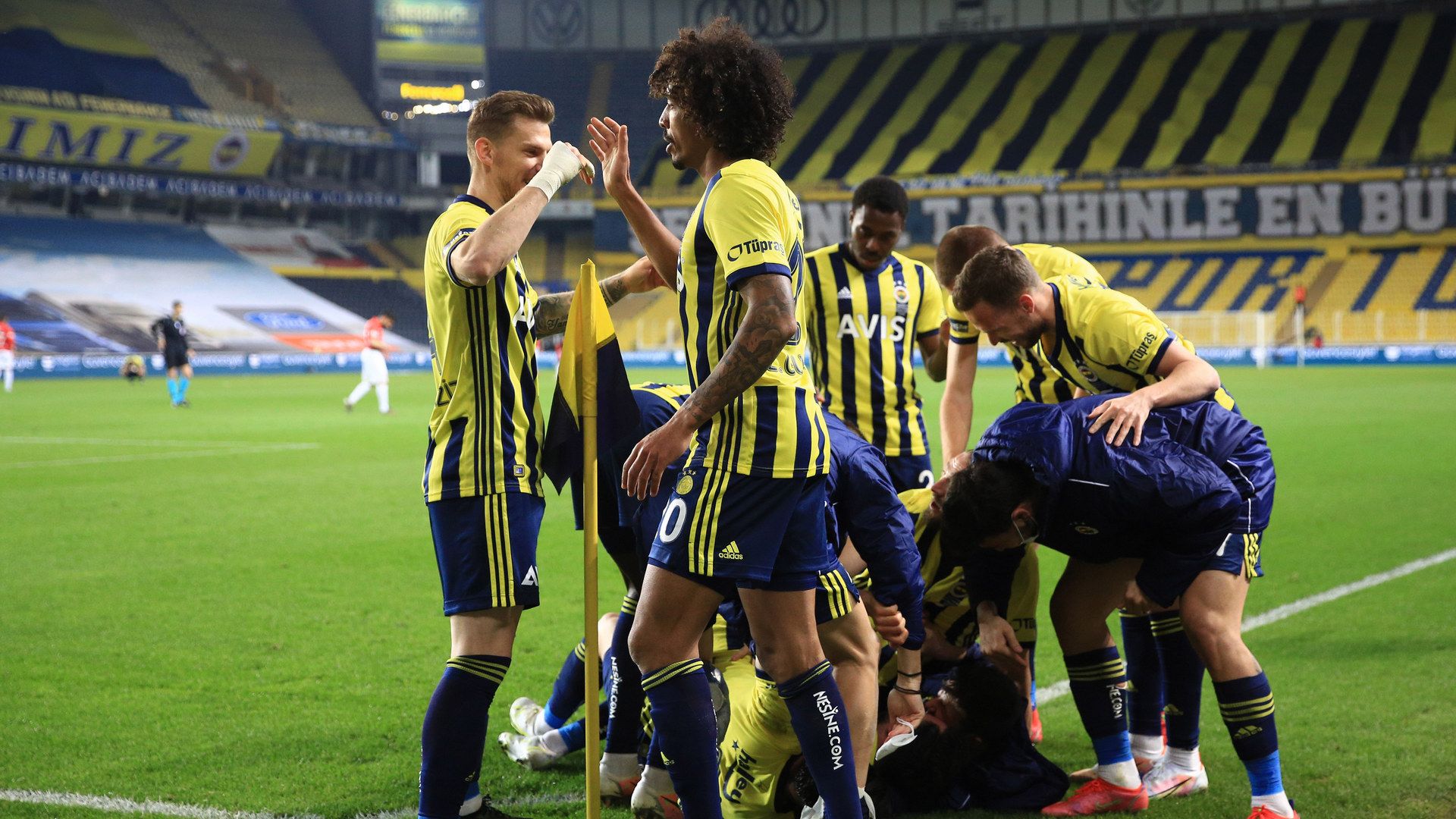 Fenerbahçe, Luiz Gustavo