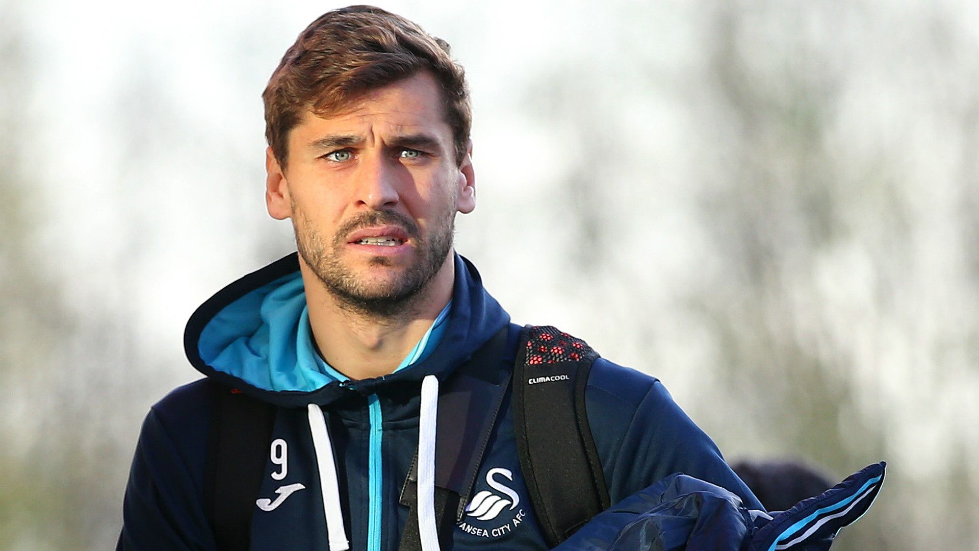 Fernando Llorente Swansea
