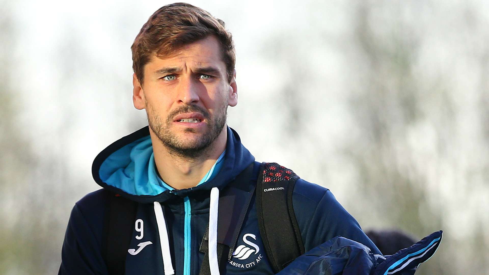 Fernando Llorente Swansea