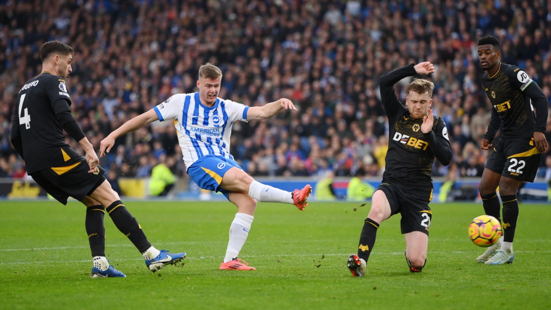 Evan Ferguson Brighton Wolves 2024-25 Premier League