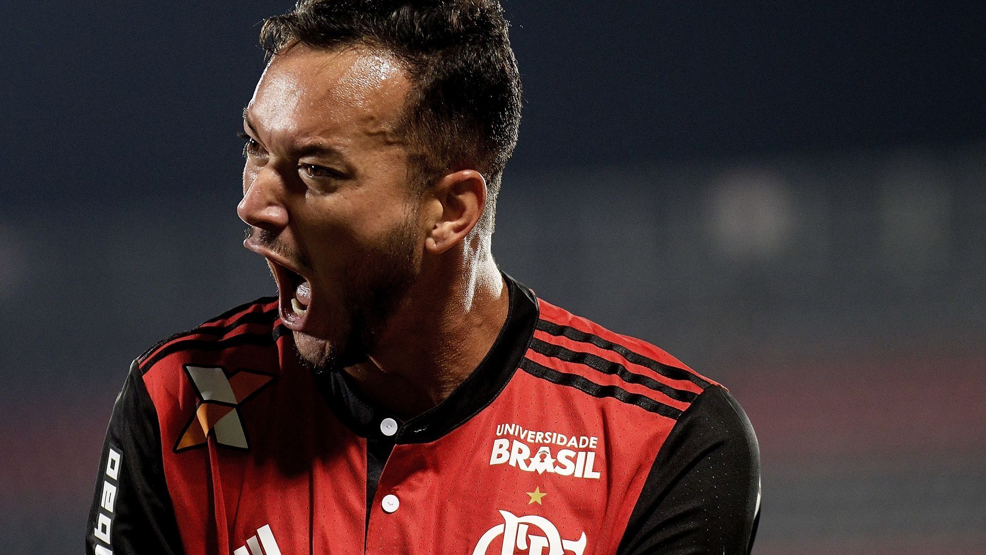 Rever Flamengo Bahia Brasileirao Serie A 19102017