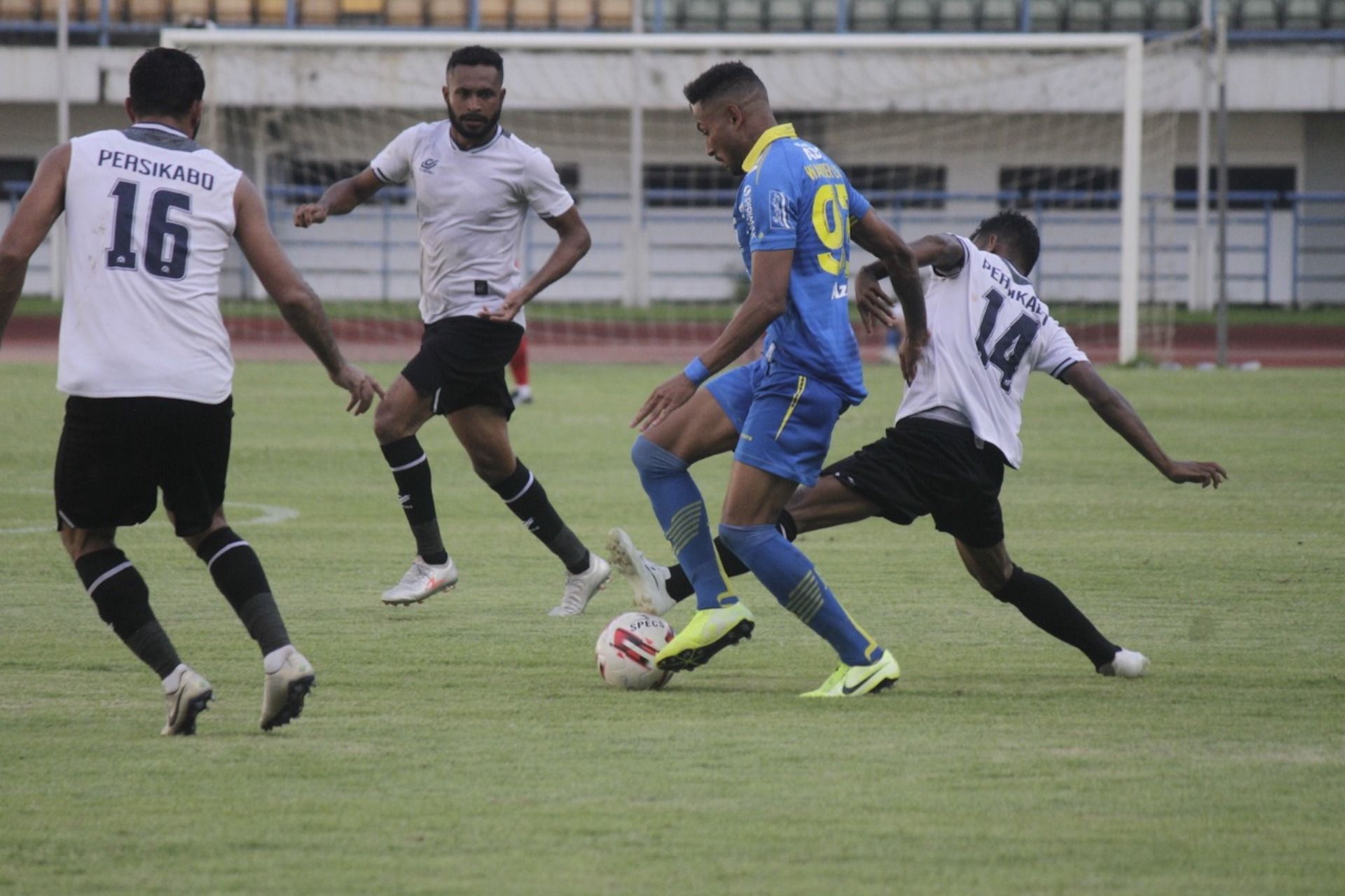 Wander Luiz - Persib