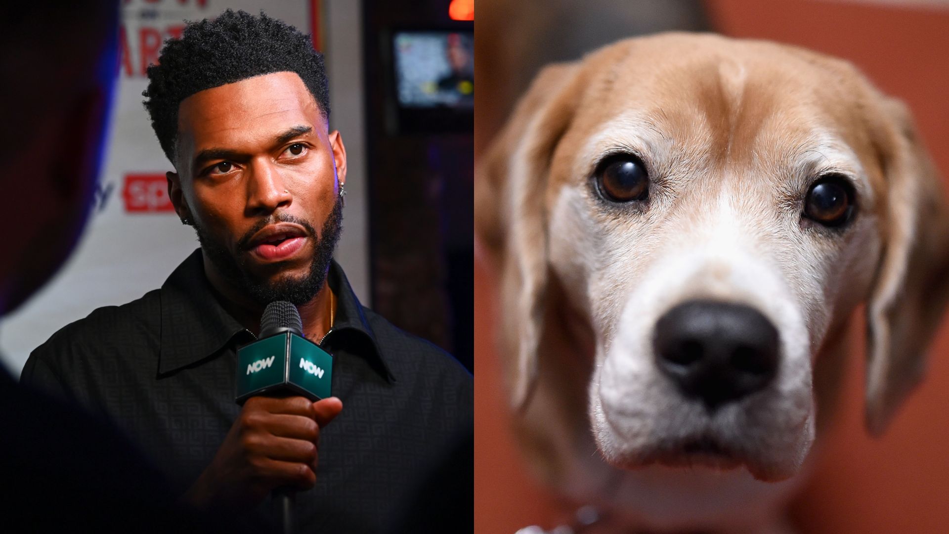 Daniel Sturridge dog split