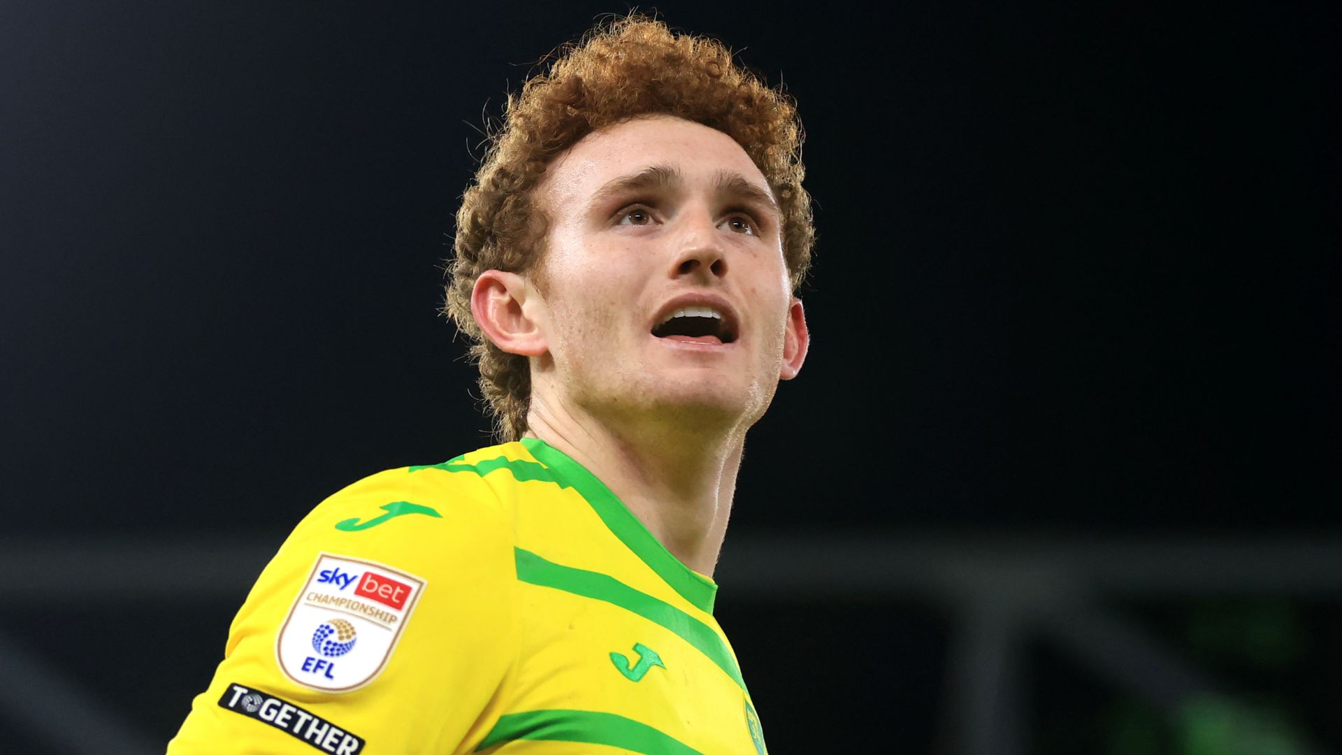 Josh Sargent Norwich 2023-24