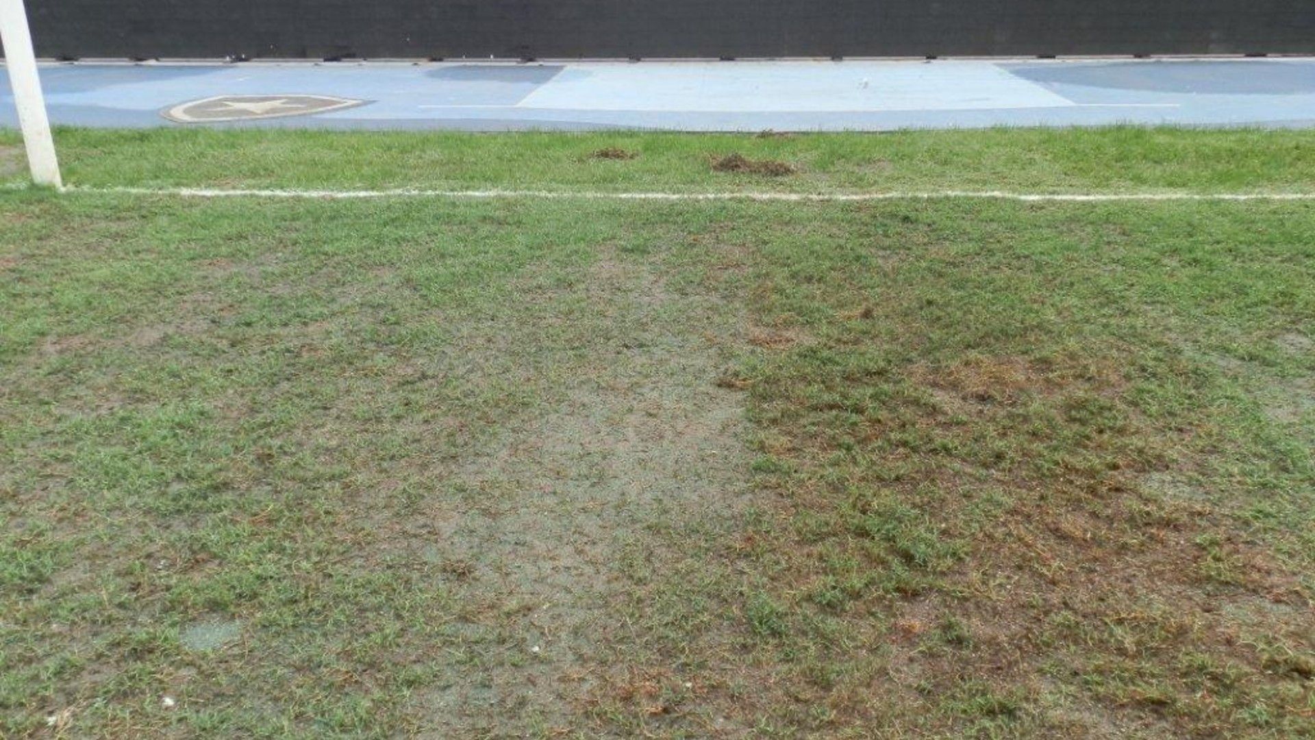 Gramado Engenhão Nilton Santos 2012/13