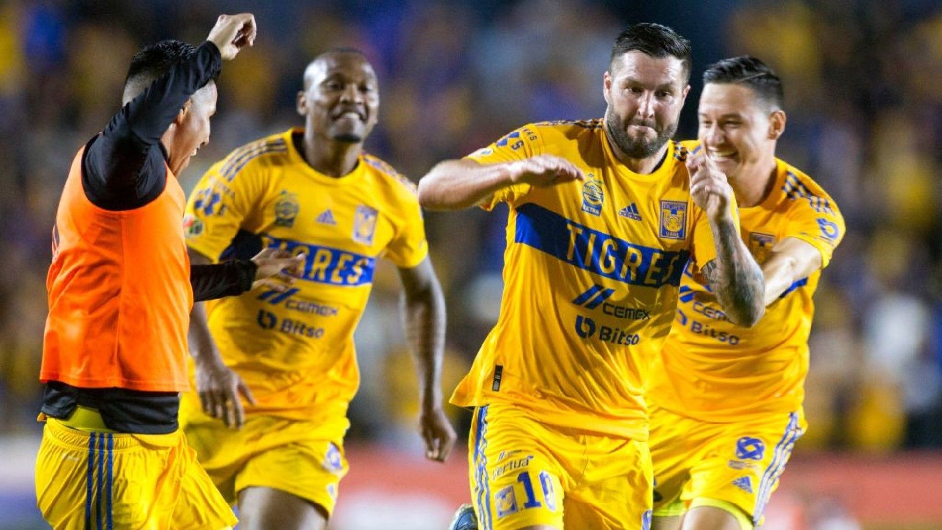 Tigres festejo repechaje Apertura 2022
