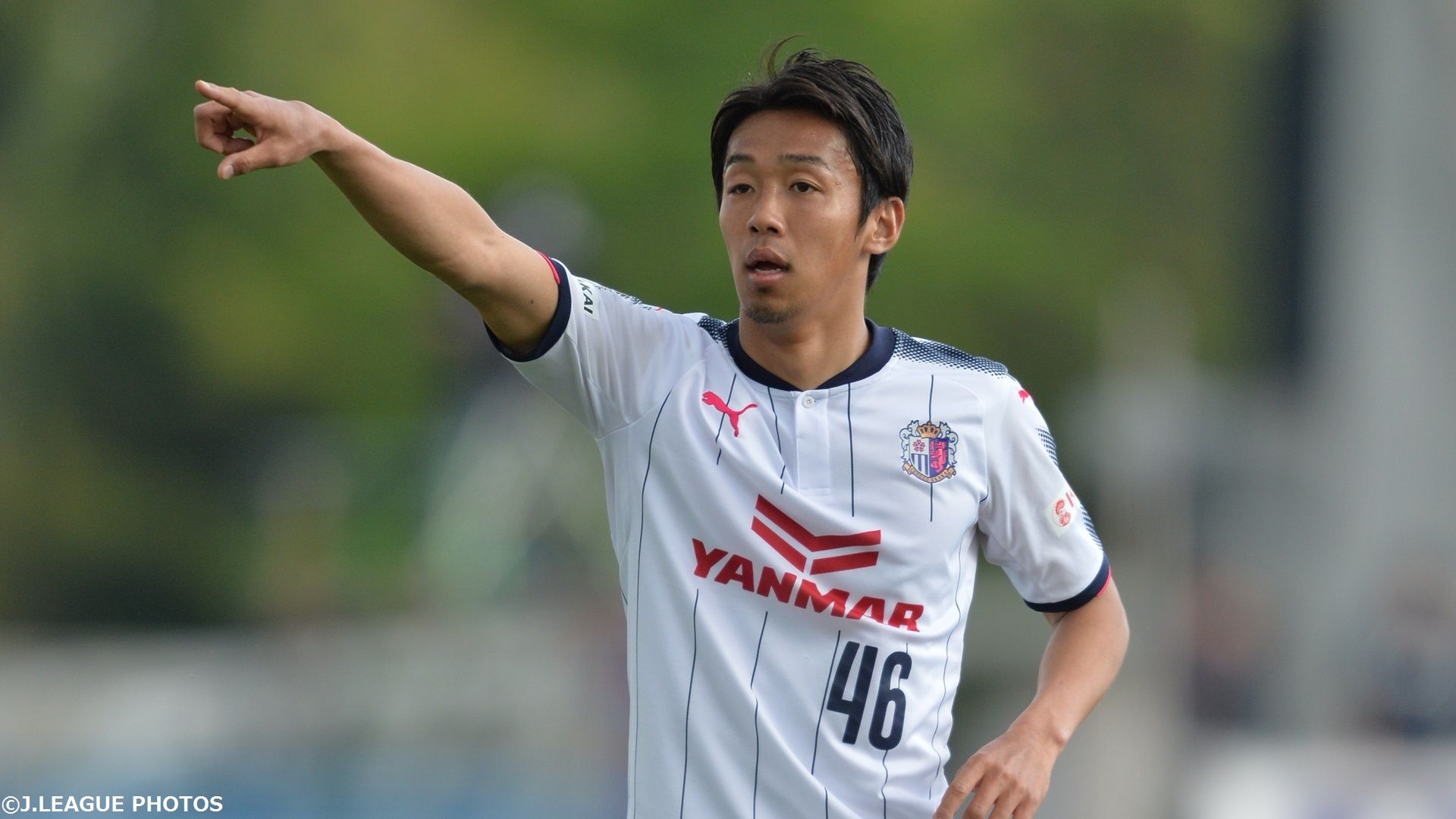 2017-04-27-cerezo-kiyotake