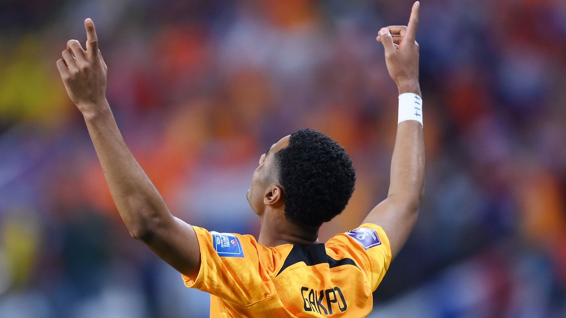 Cody Gakpo - World Cup 2022