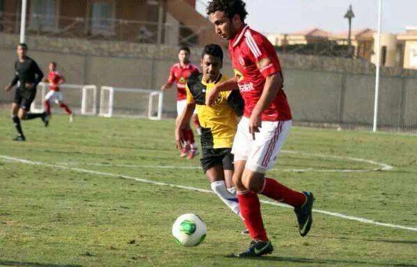 amr warda