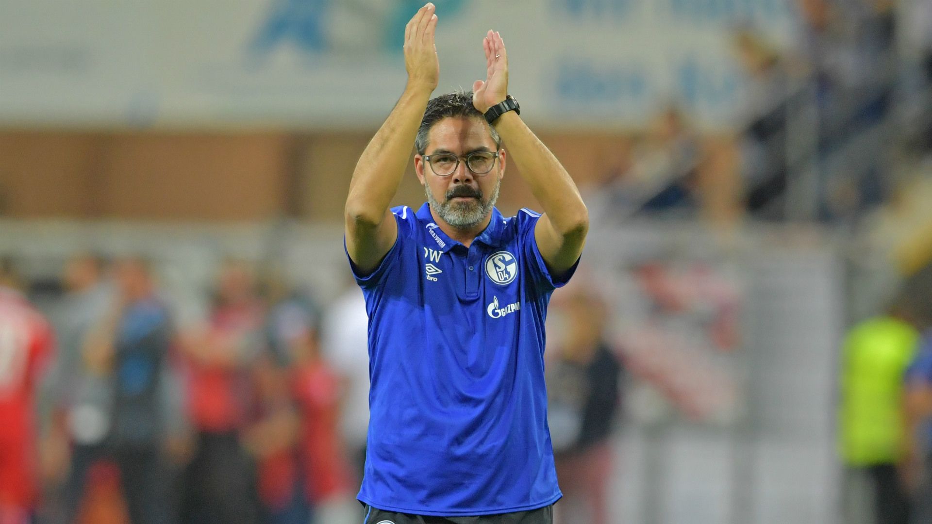 David Wagner Schalke 04 2019