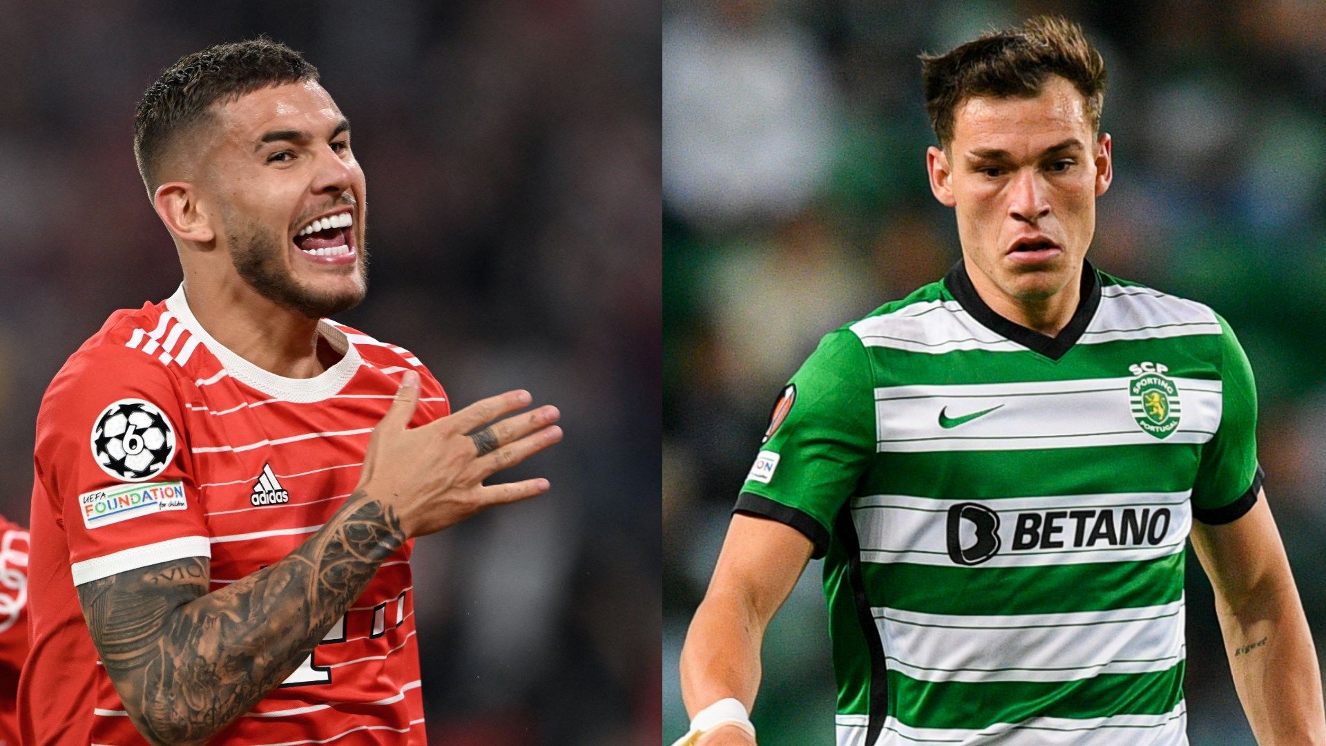 Hernandez Ugarte split 