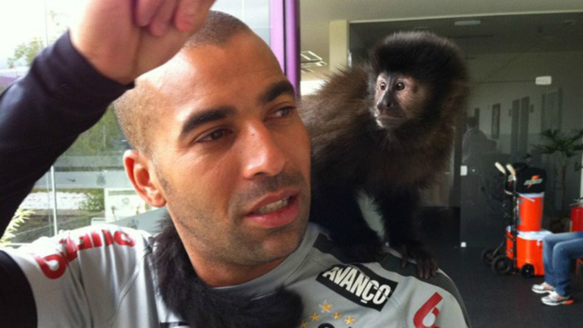 emerson sheik macaca