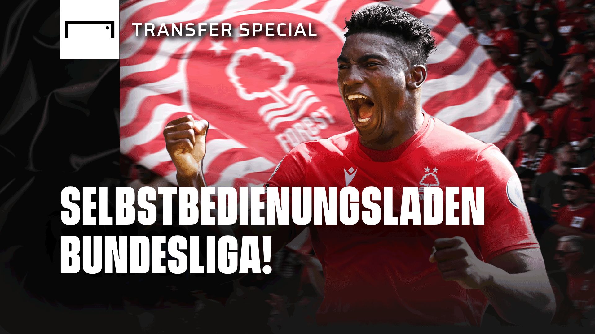 GFX Nottingham Transfer Special