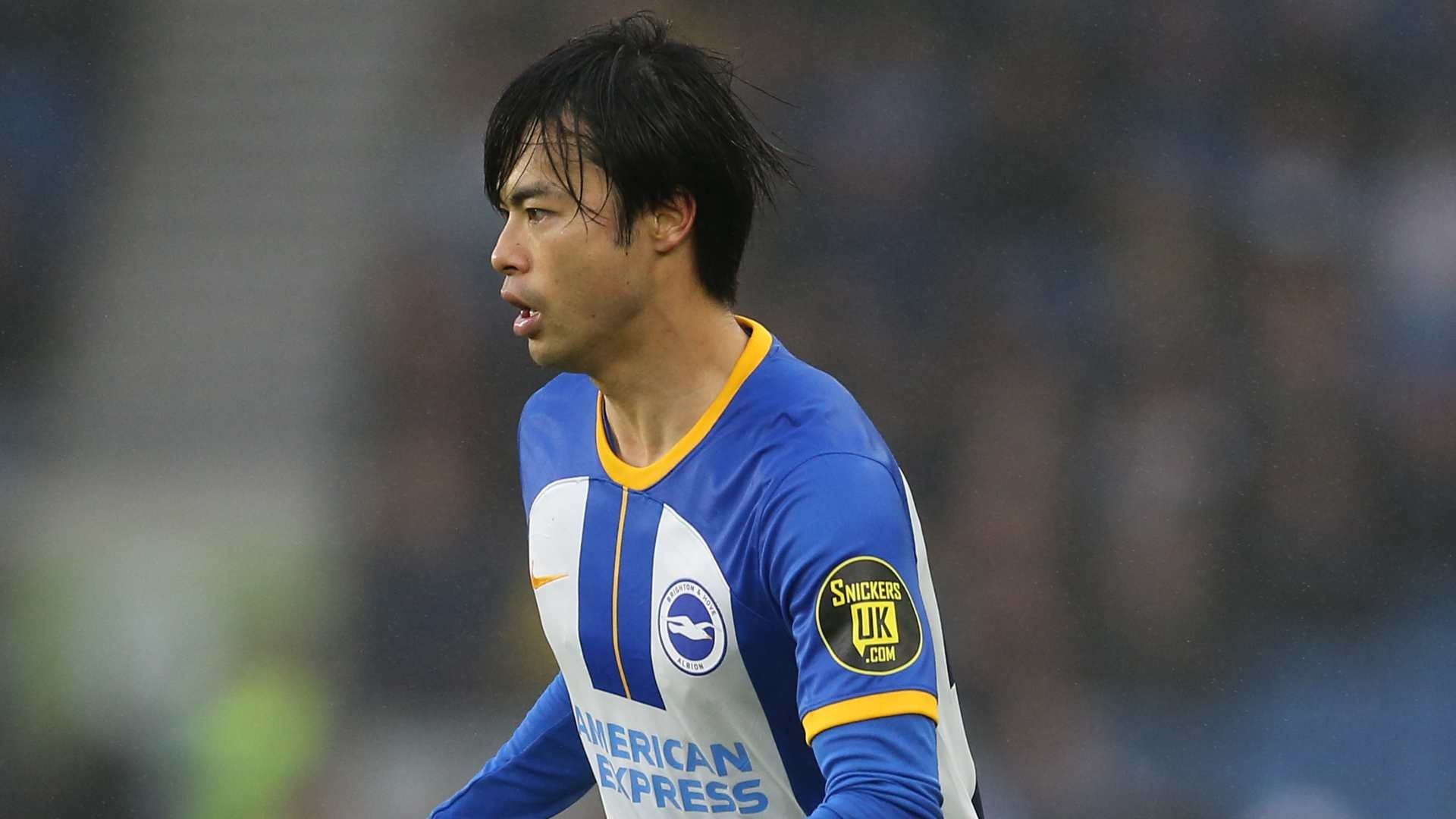 20230511 Kaoru Mitoma