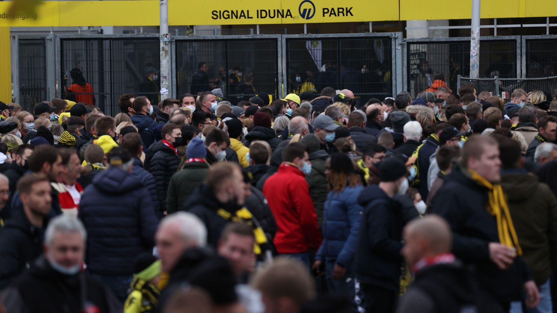Borussia Dortmund Fans