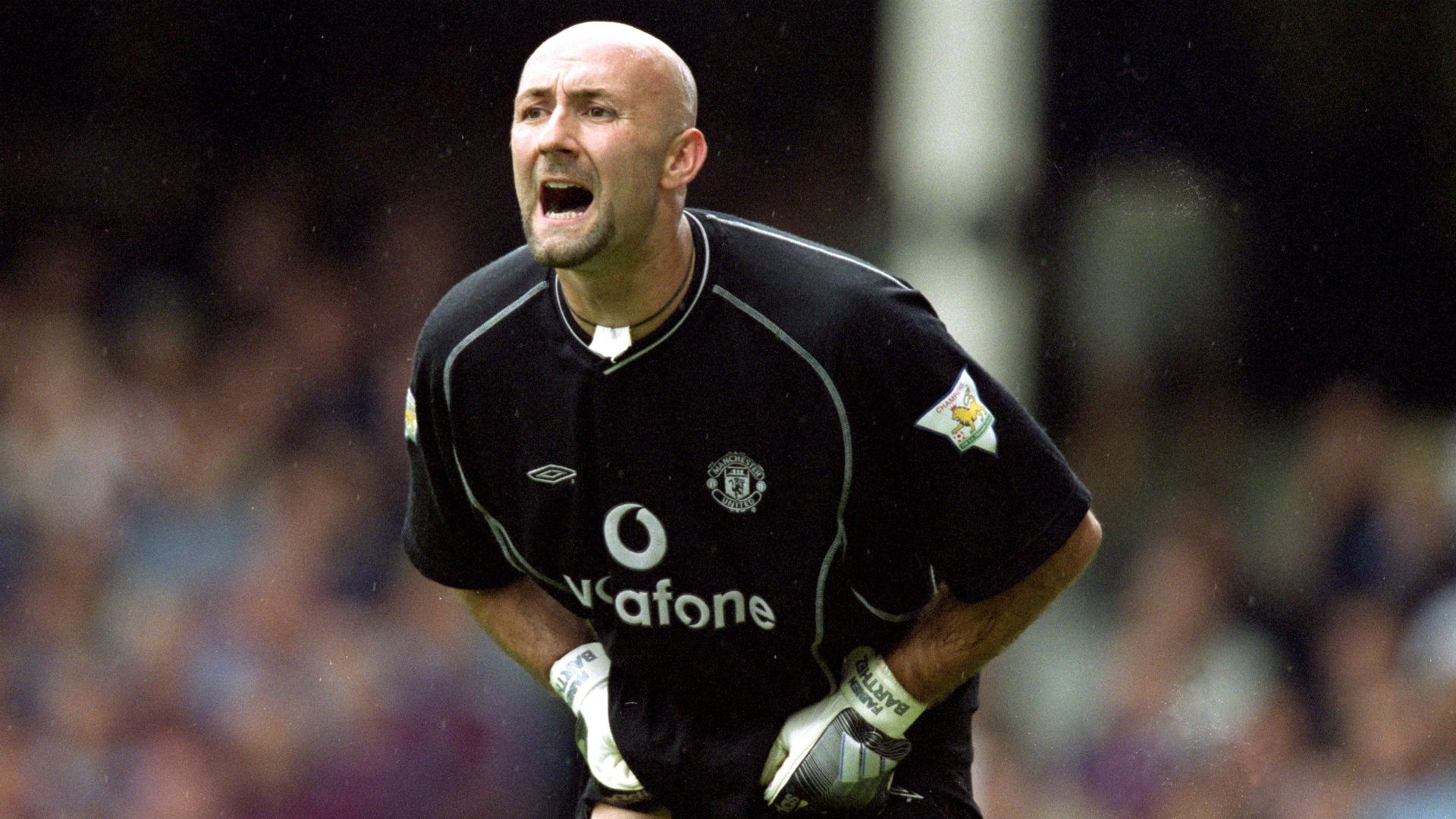 Fabien Barthez Manchester United