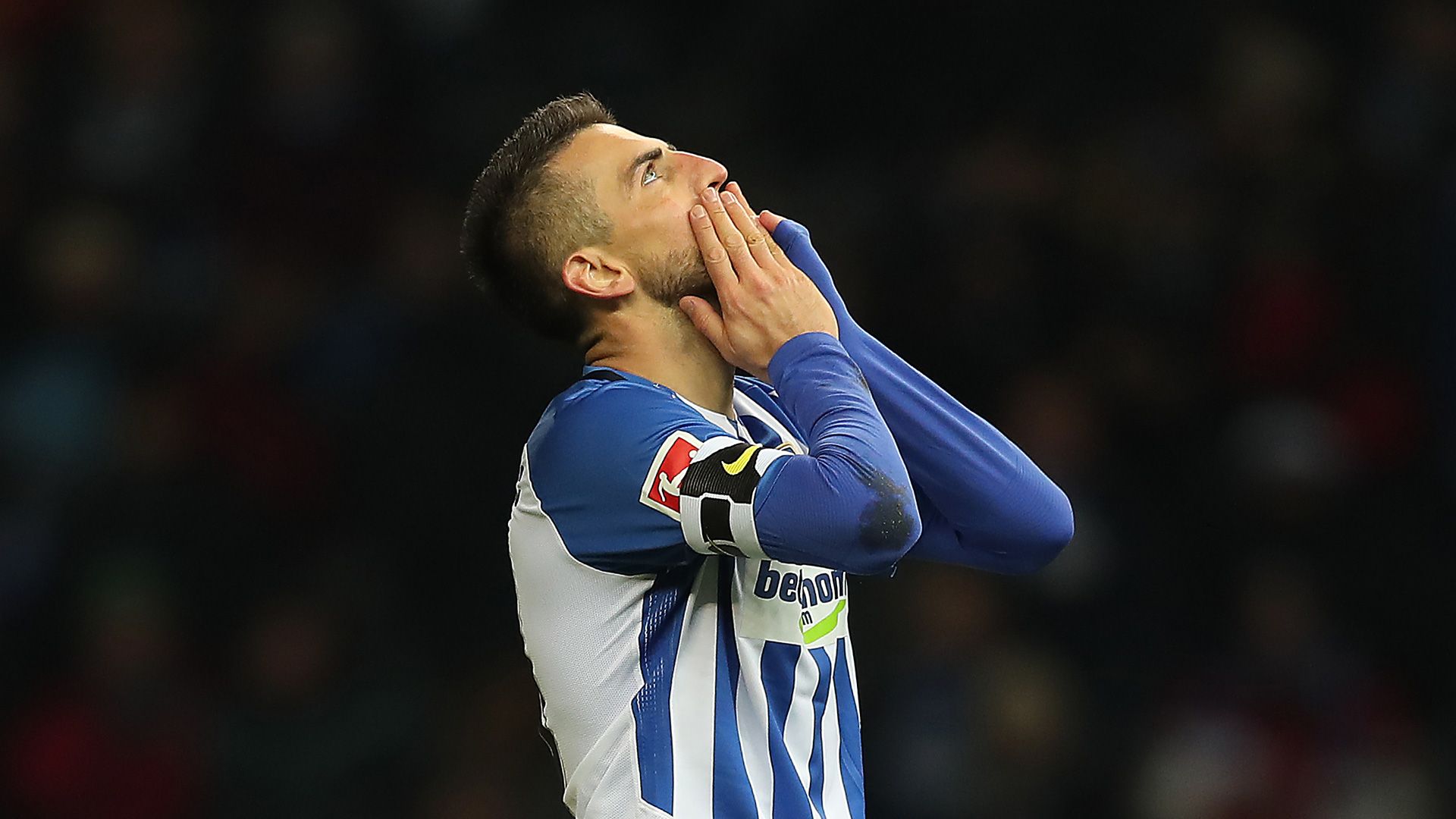 Vedad-Ibisevic-Hertha-BSC