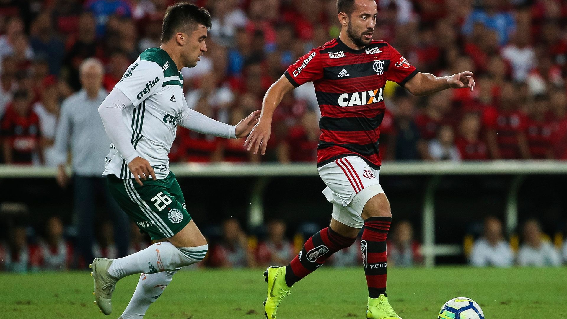 Everton Ribeiro Flamengo x Palmeiras Maracanã  Brasileirão 27 1018