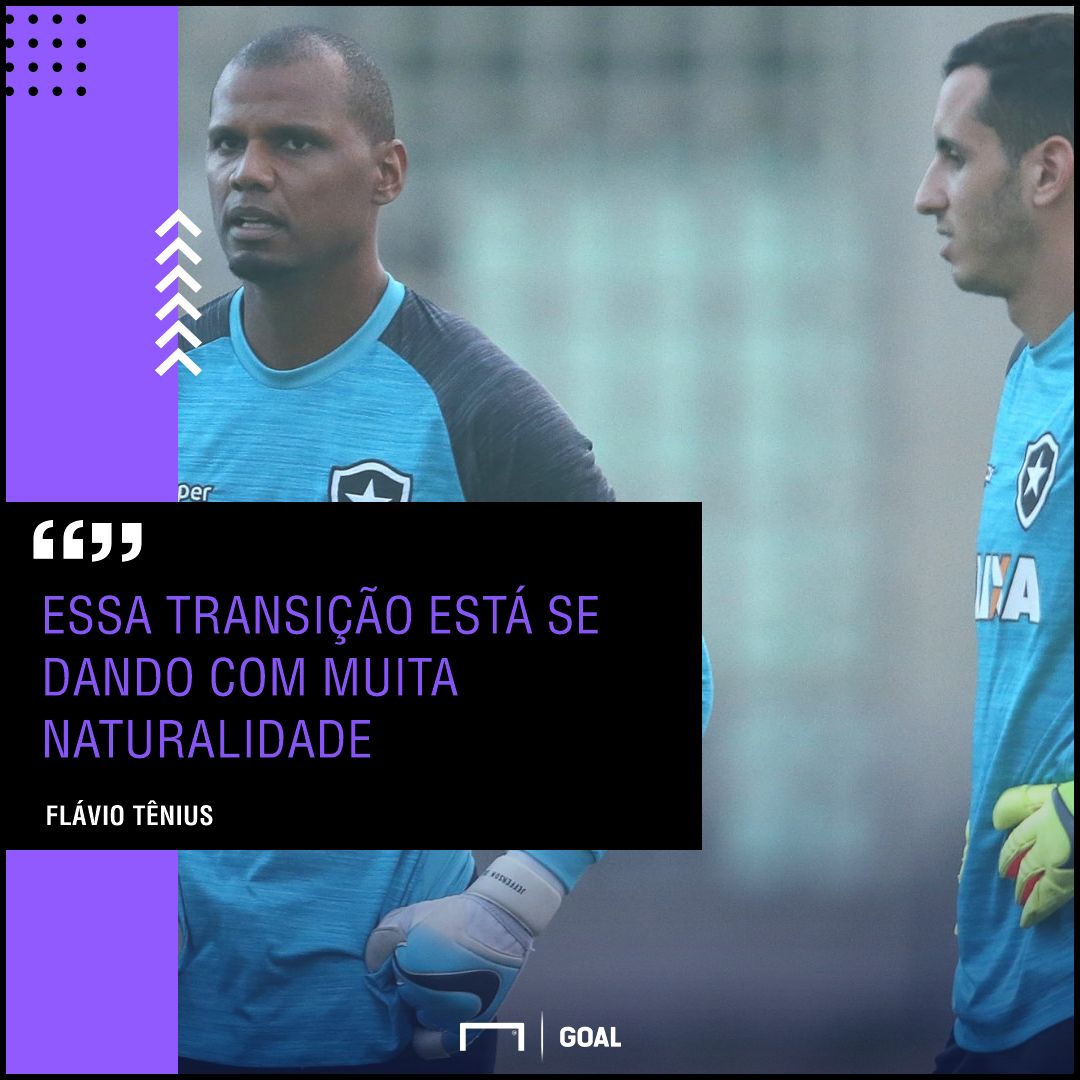 GFX Gatito Jefferson