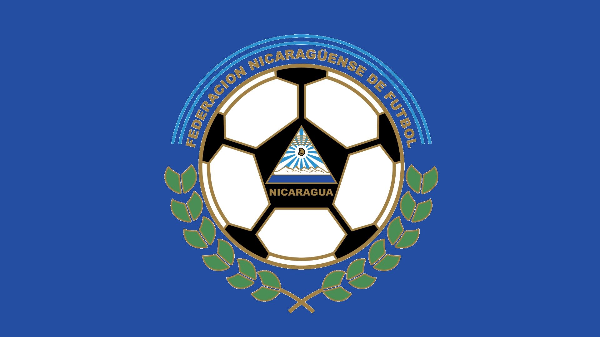 Nicaragua Logo Panel