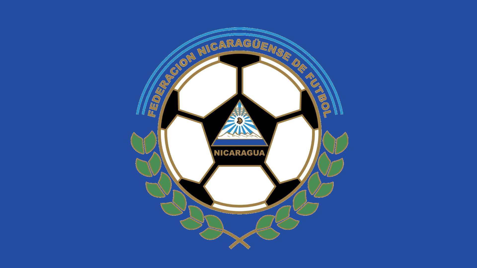 Nicaragua Logo Panel