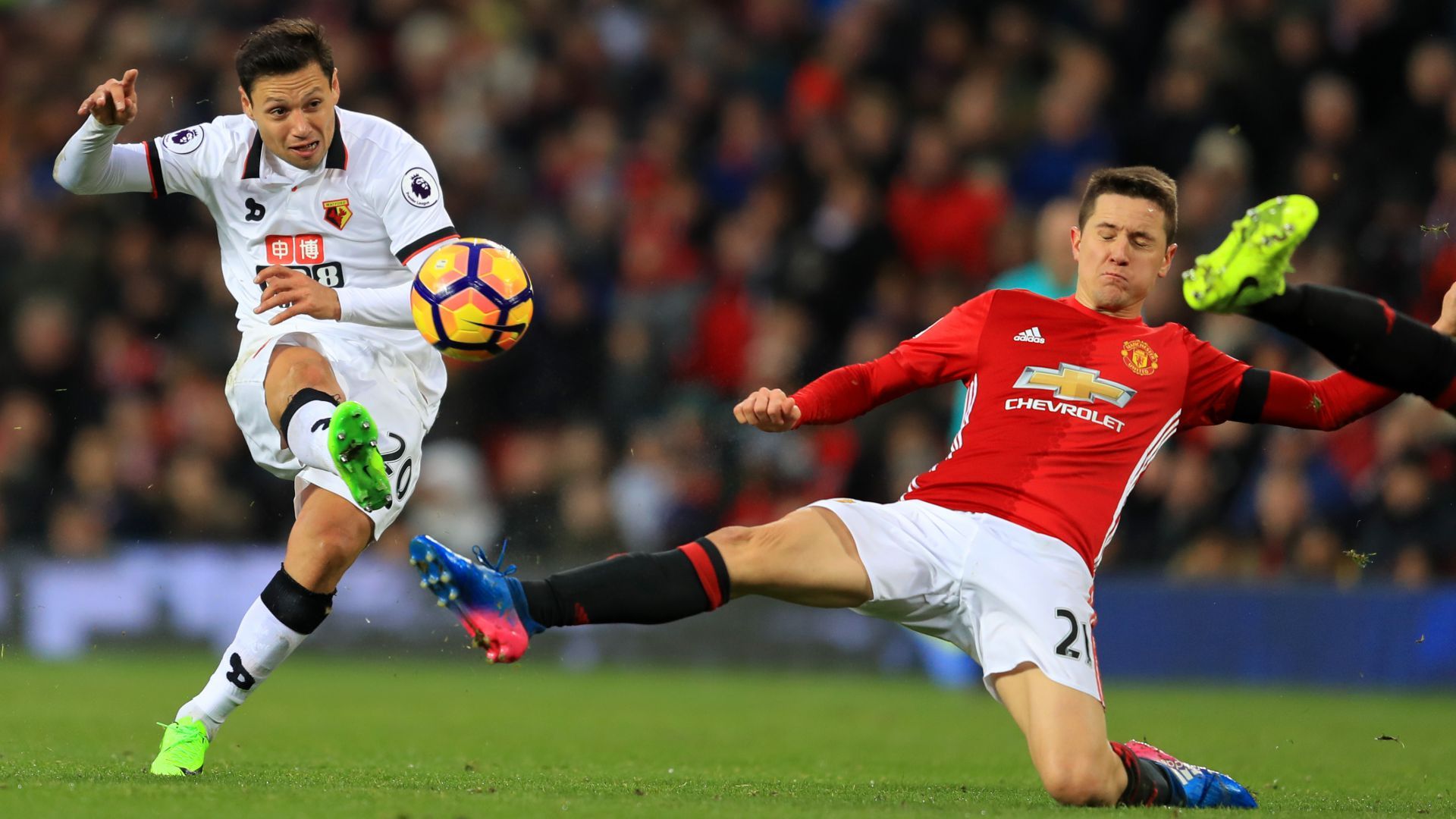 Mauro Zarate Manchester United Watford