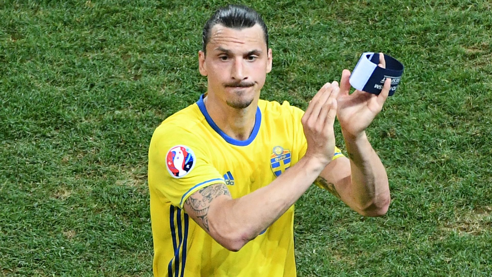 Zlatan Ibrahimovic Sweden