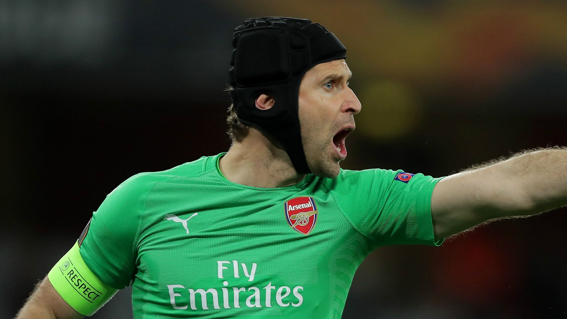 Petr Cech Arsenal 2018-19