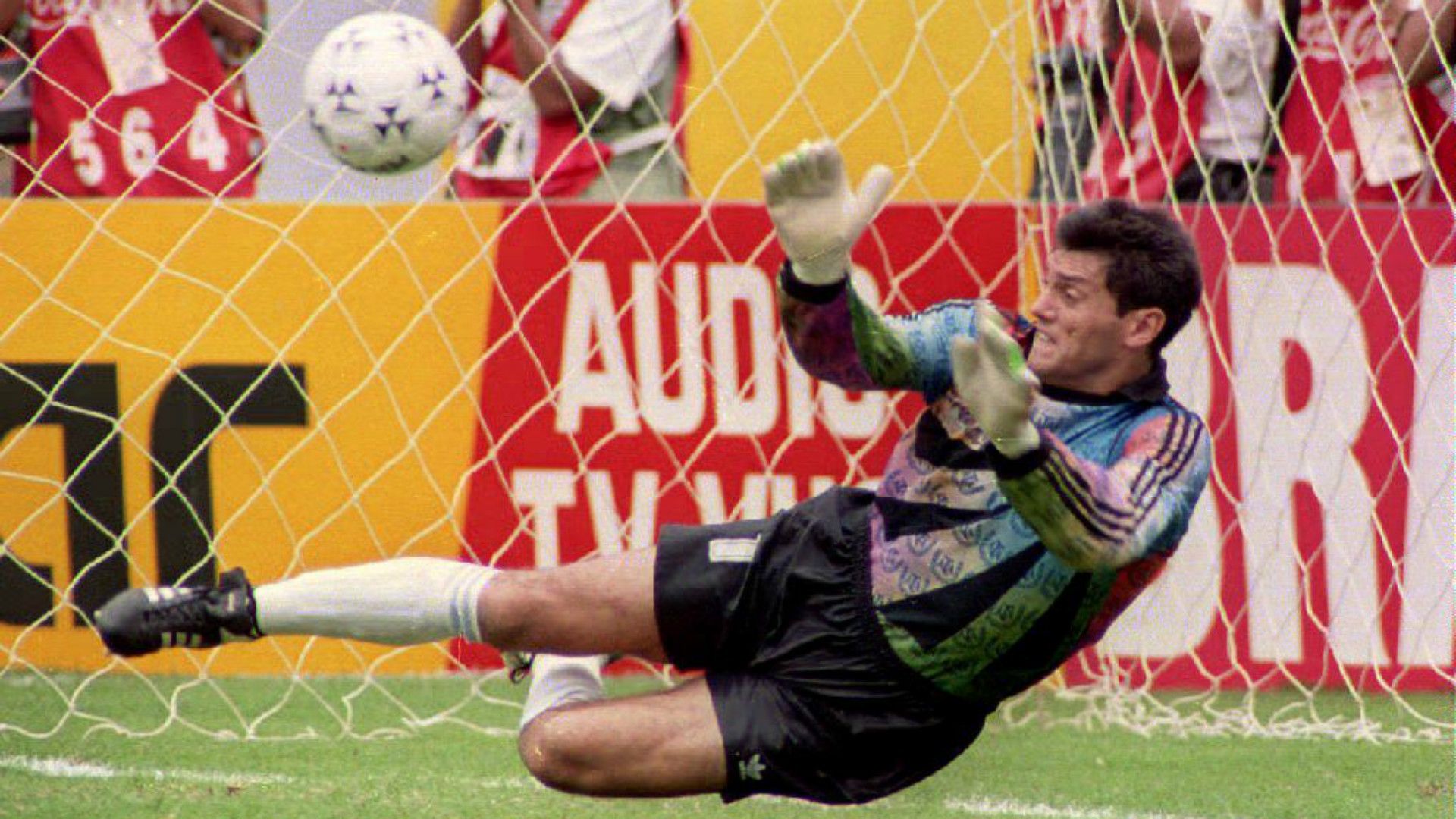 Sergio Goycochea Argentina Brasil Copa America 1993