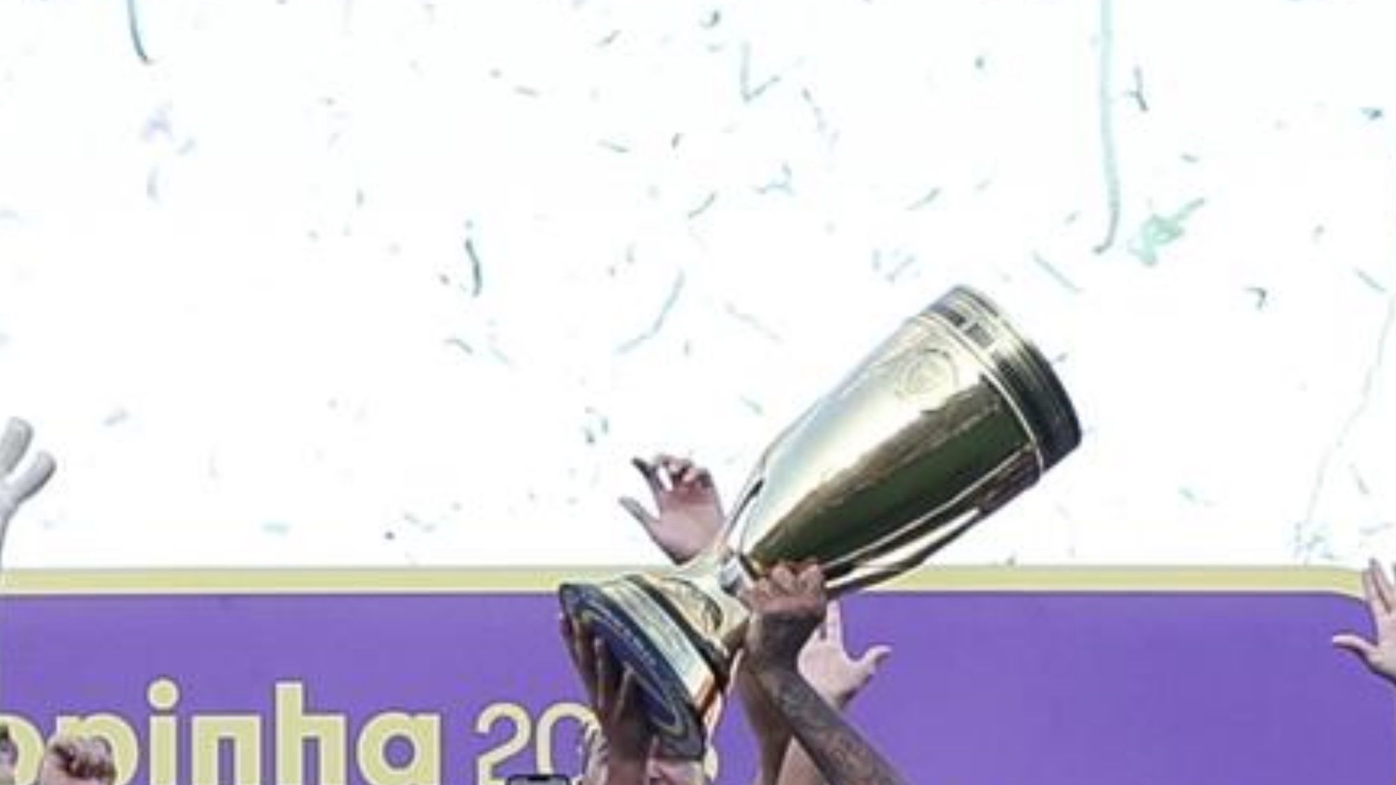 Palmeiras Copinha 2023 HIC 2x3