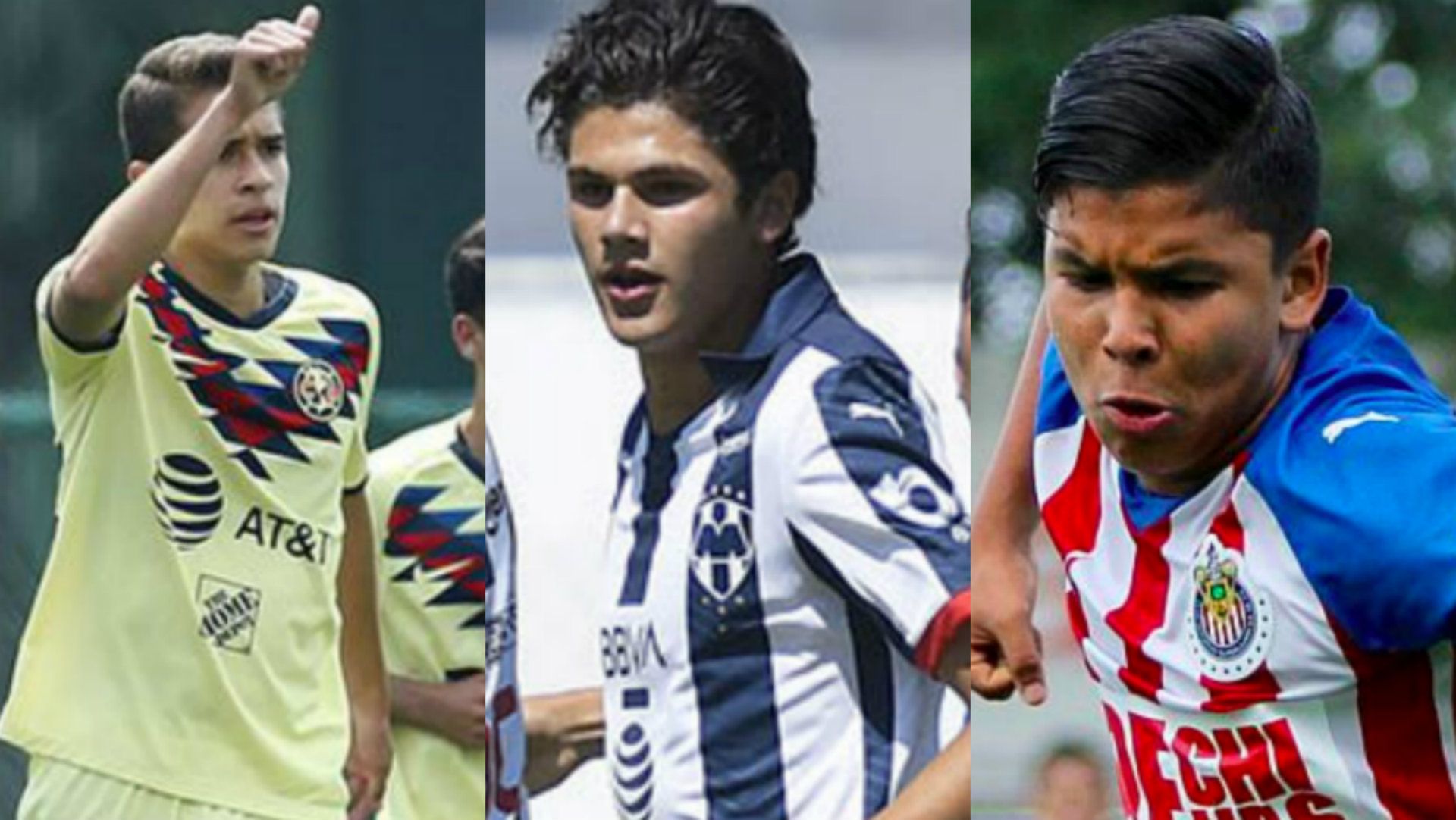 Fuerzas Básicas Campeones