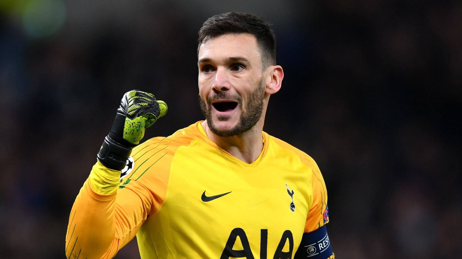 Hugo Lloris, Tottenham