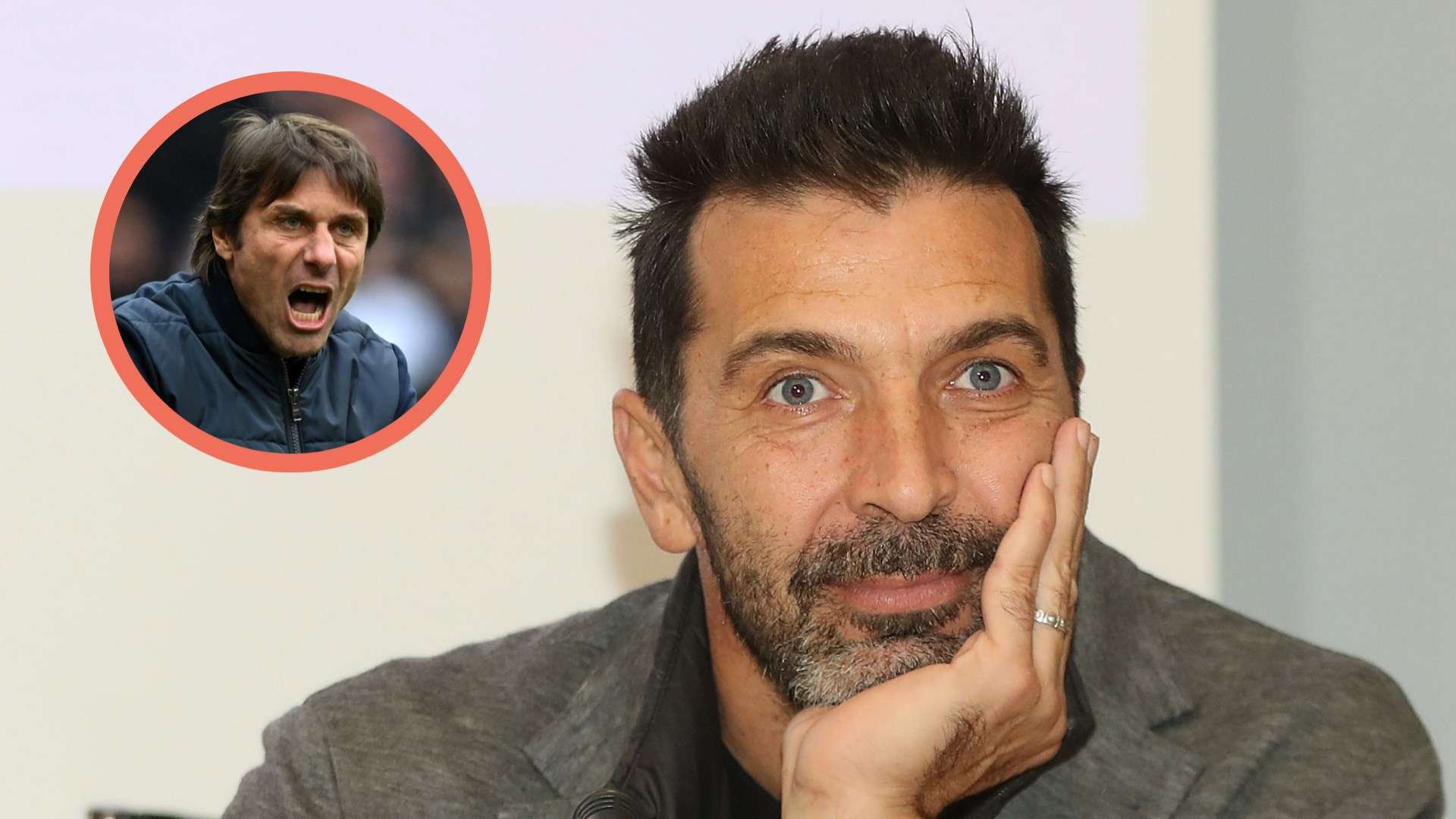 Conte Buffon