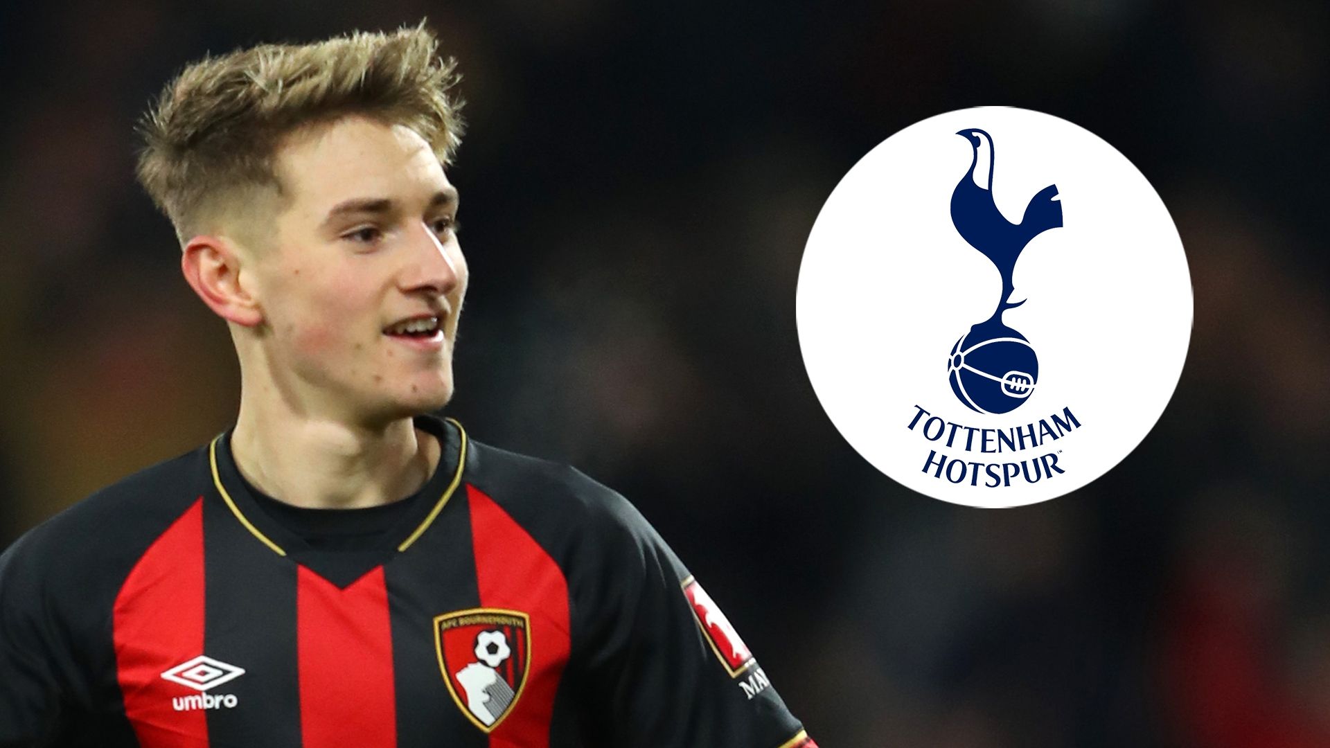 David Brooks Tottenham