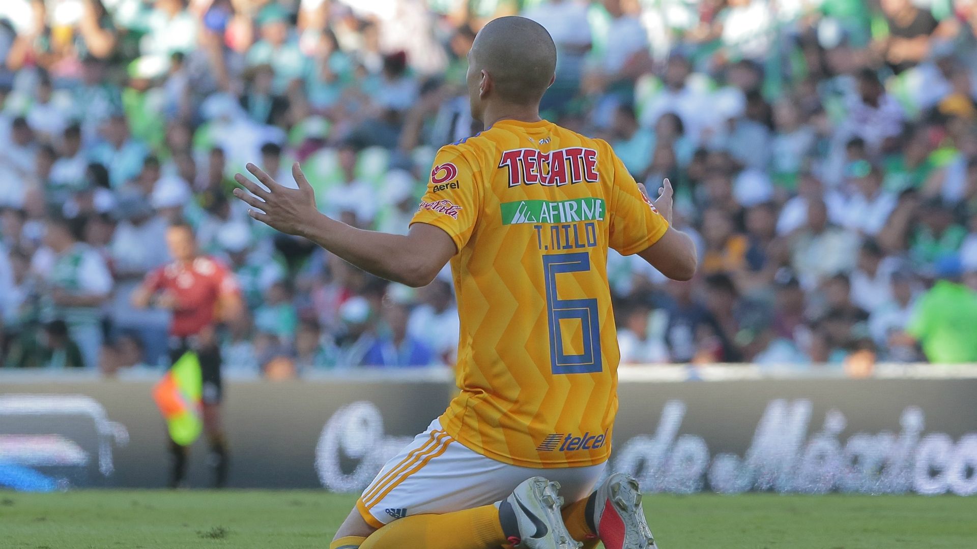 Jorge Torres Nilo Tigres