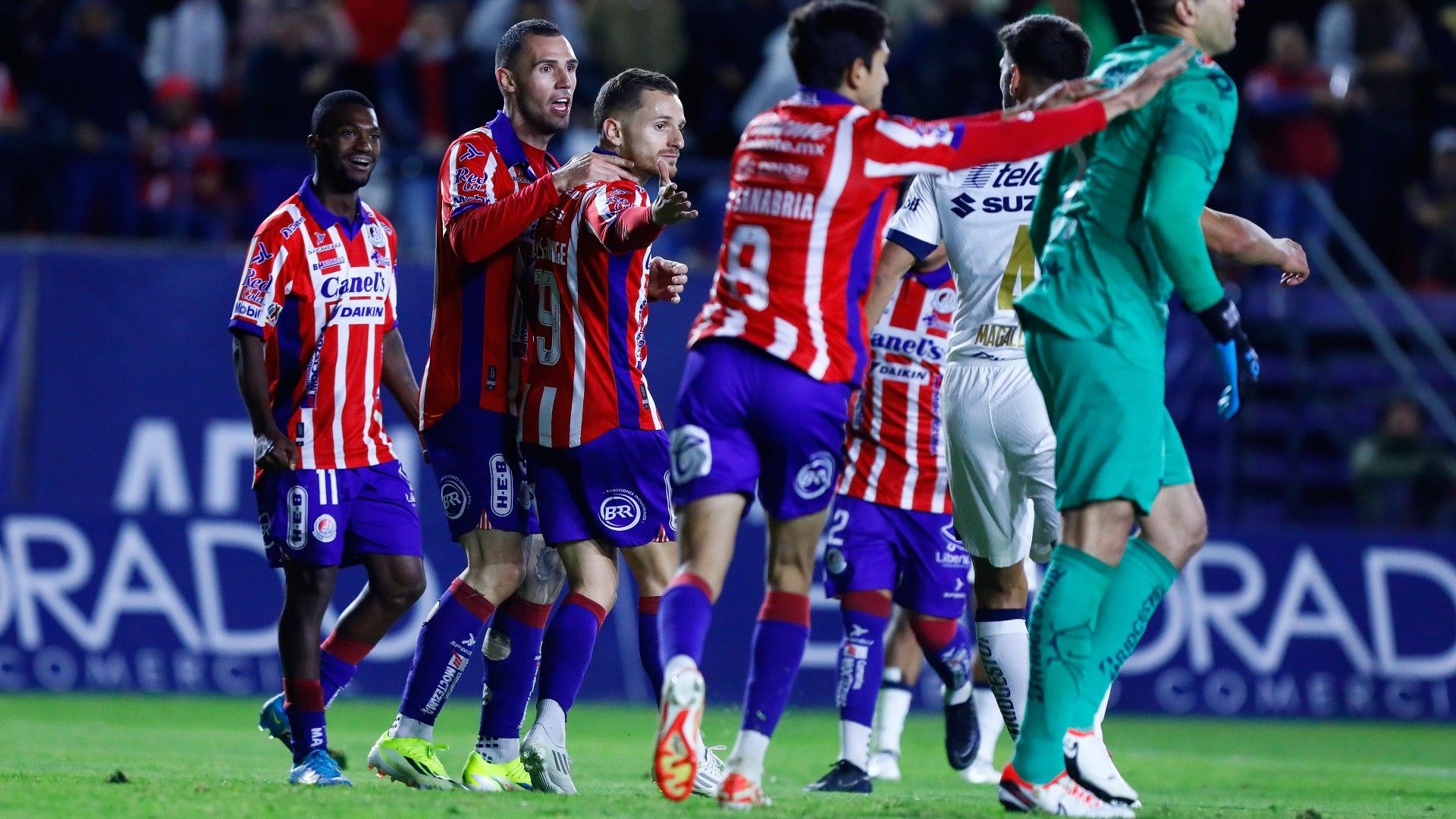 Atlético San Luis Clausura 2024