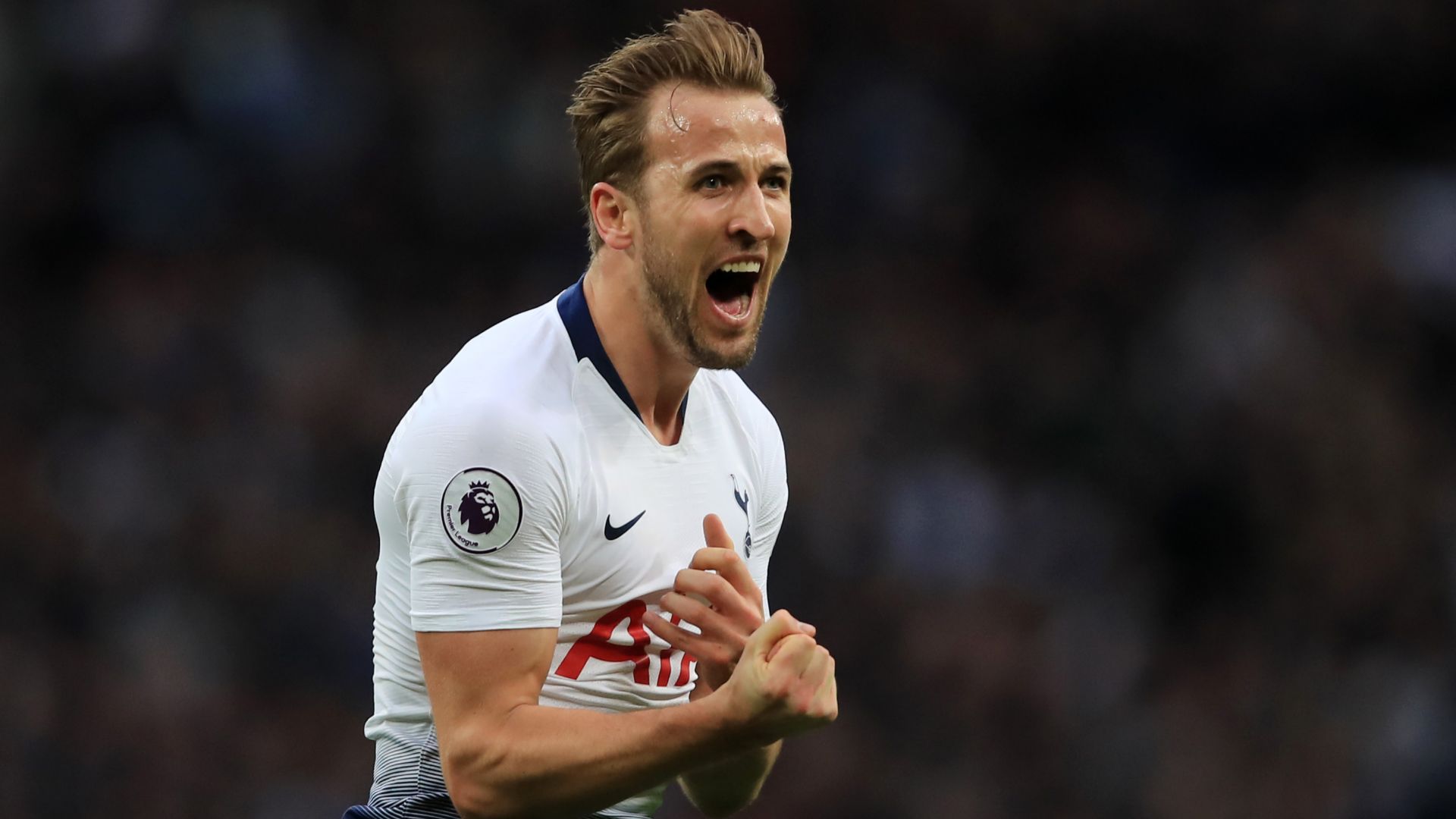 Harry Kane Tottenham 2017-18