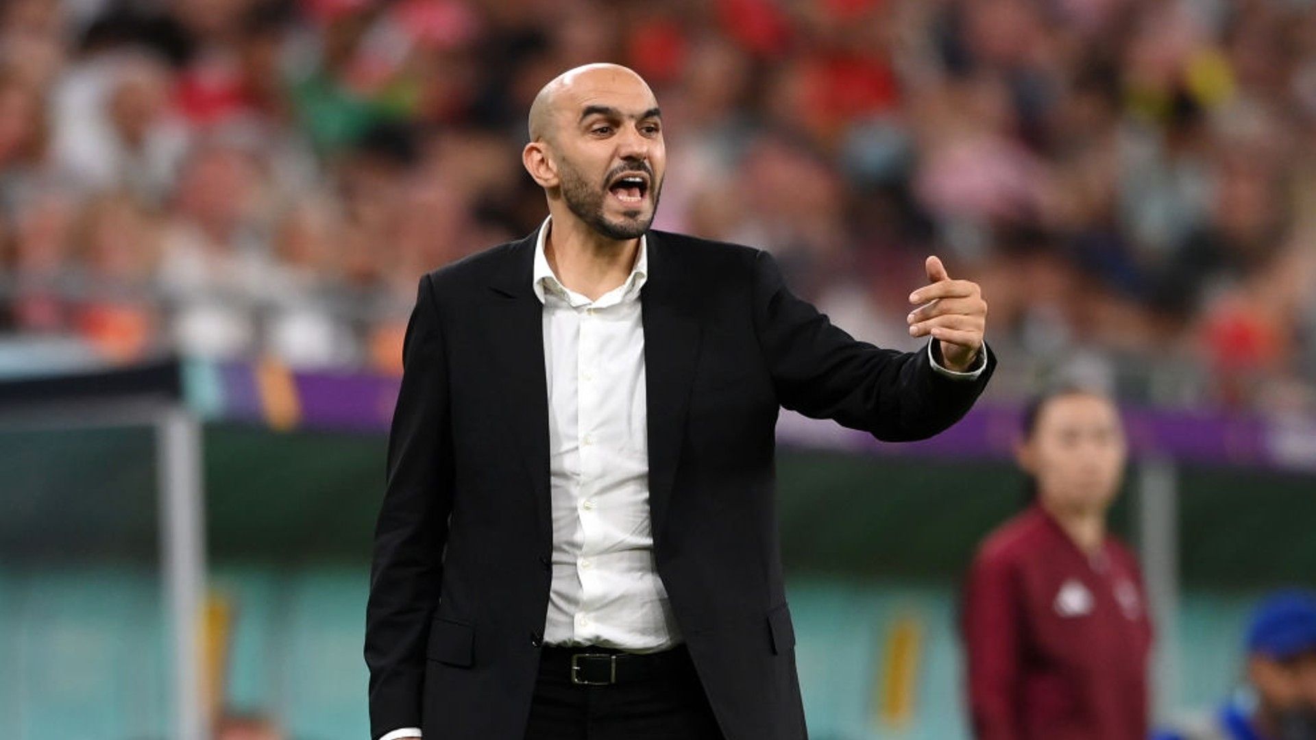 Walid Regragui Morocco.