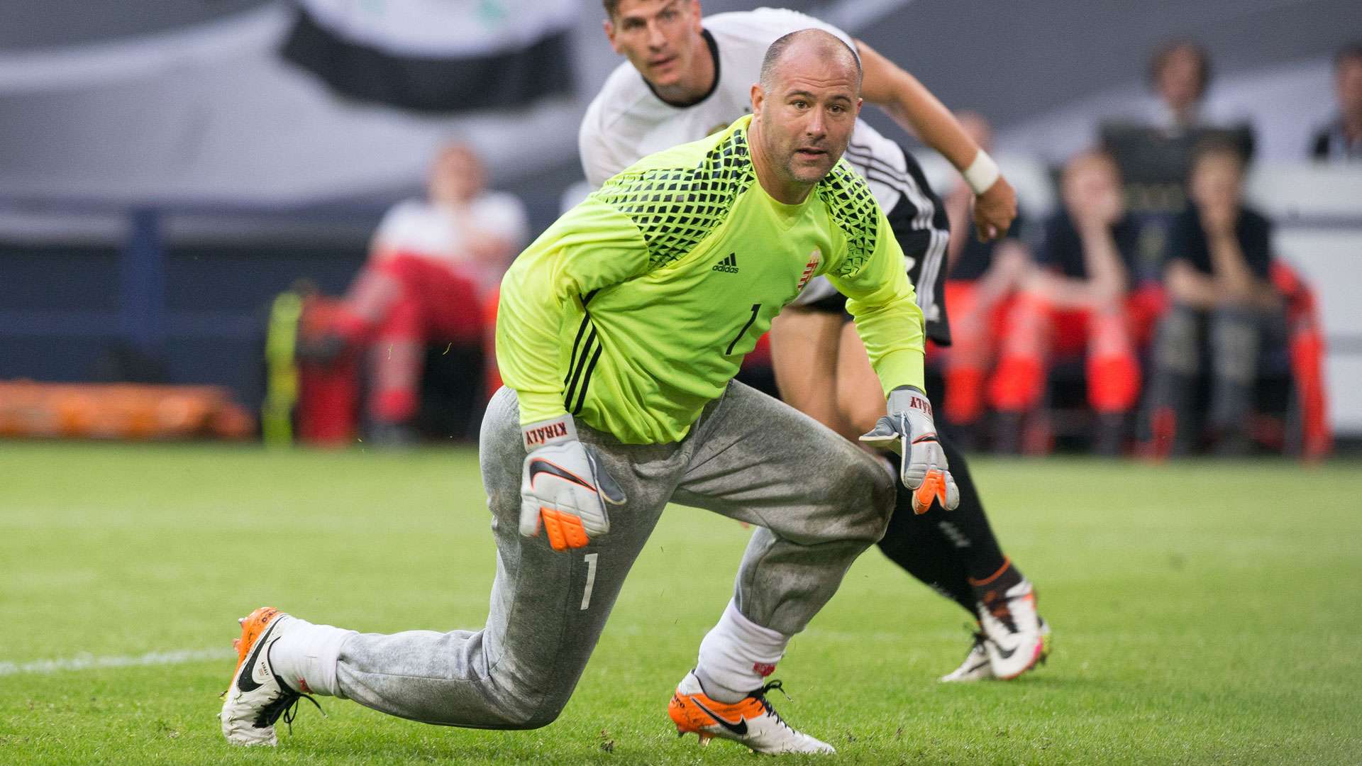 GABOR KIRALY Hungary friendly against Germany 04062016