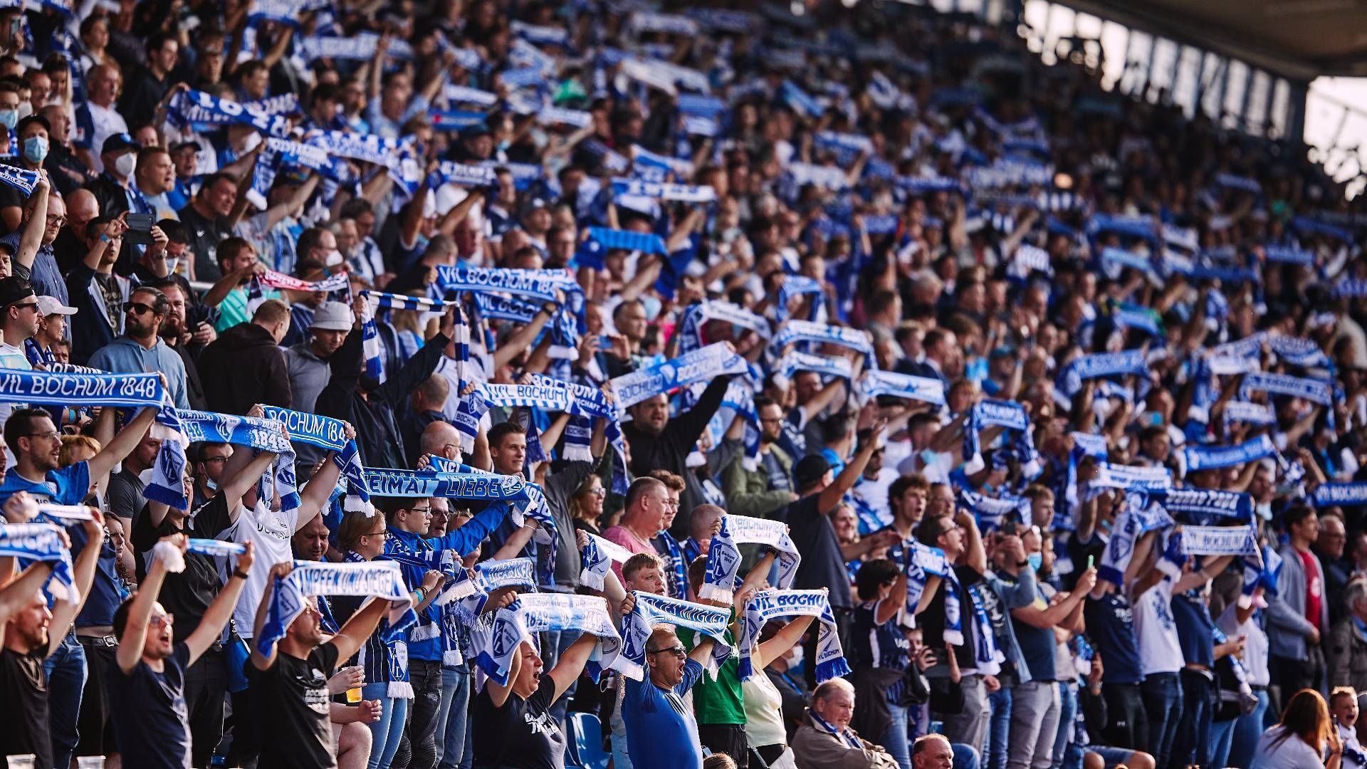 VfL Bochum Fans