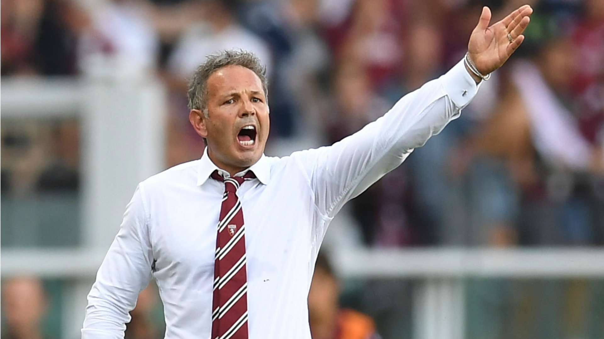 Mihajlovic Torino Sassuolo