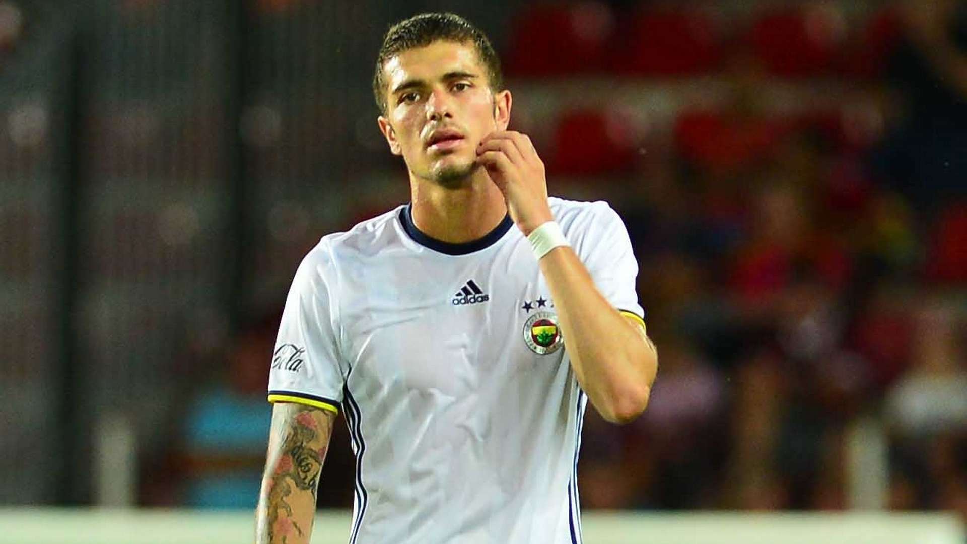 Roman Neustadter Fenerbahce