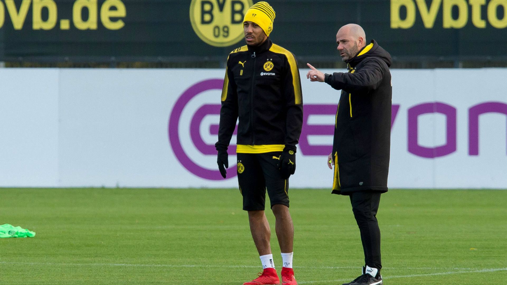 ONLY GERMANY Pierre Emerick Aubameyang Peter Bosz Borussia Dortmund