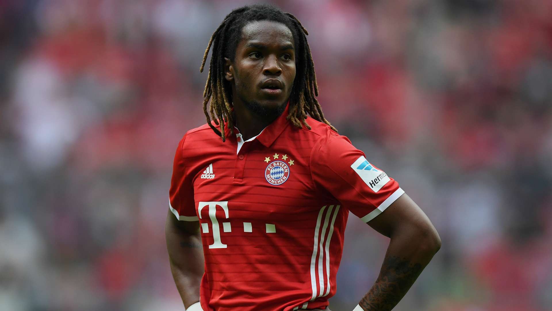 renato sanches - cropped