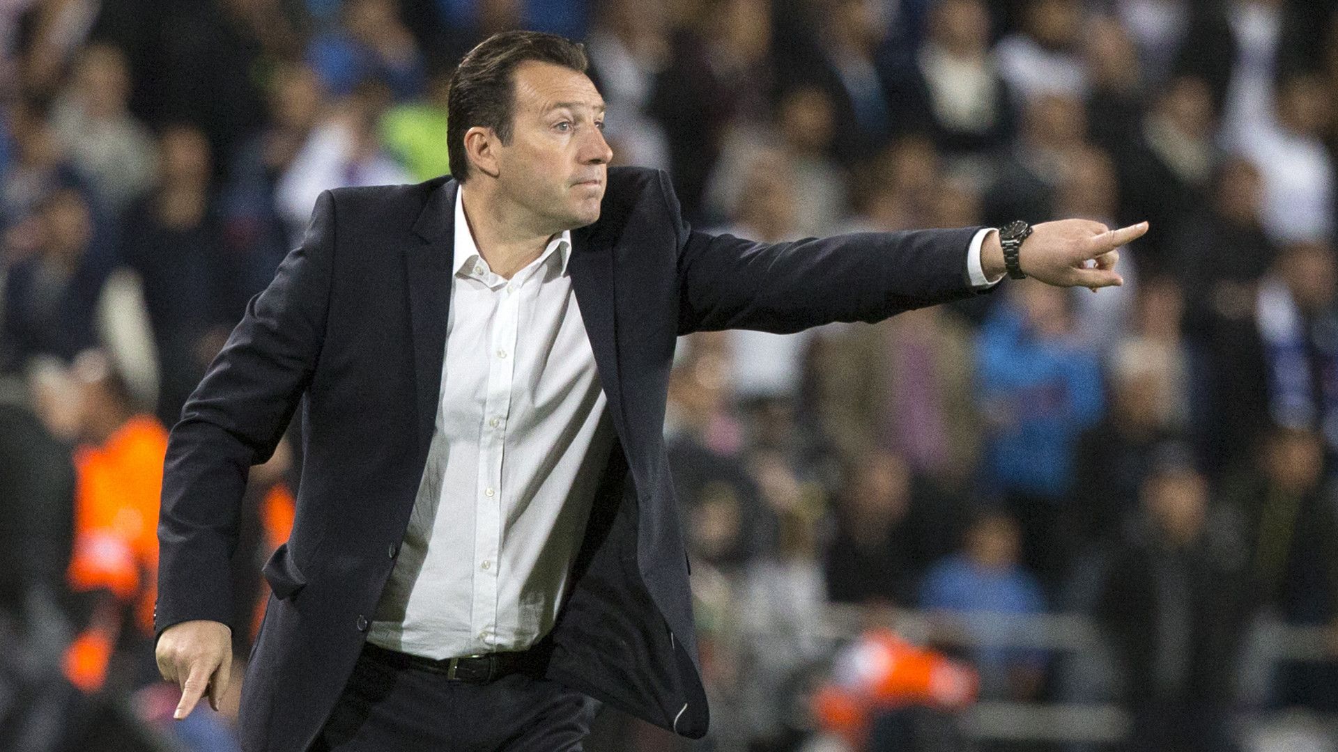 Marc Wilmots Belgien 31032015