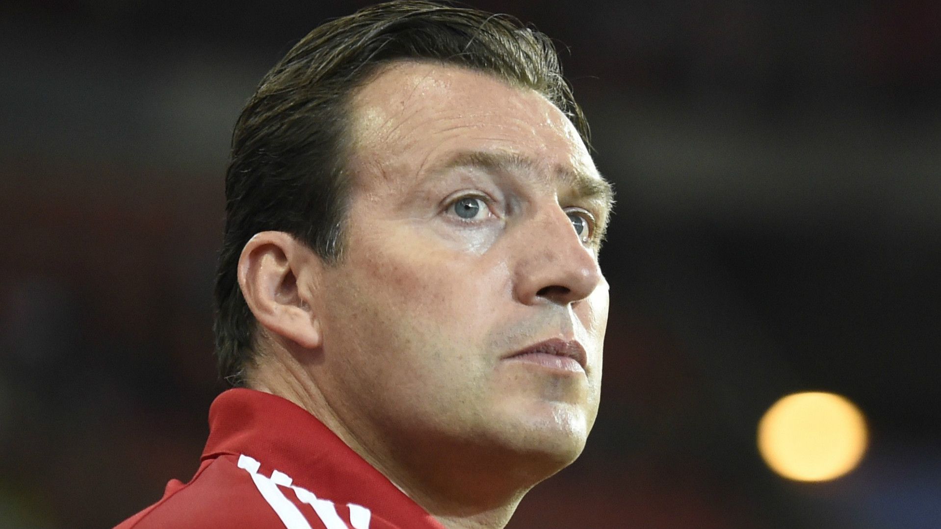 Marc Wilmots Belgium