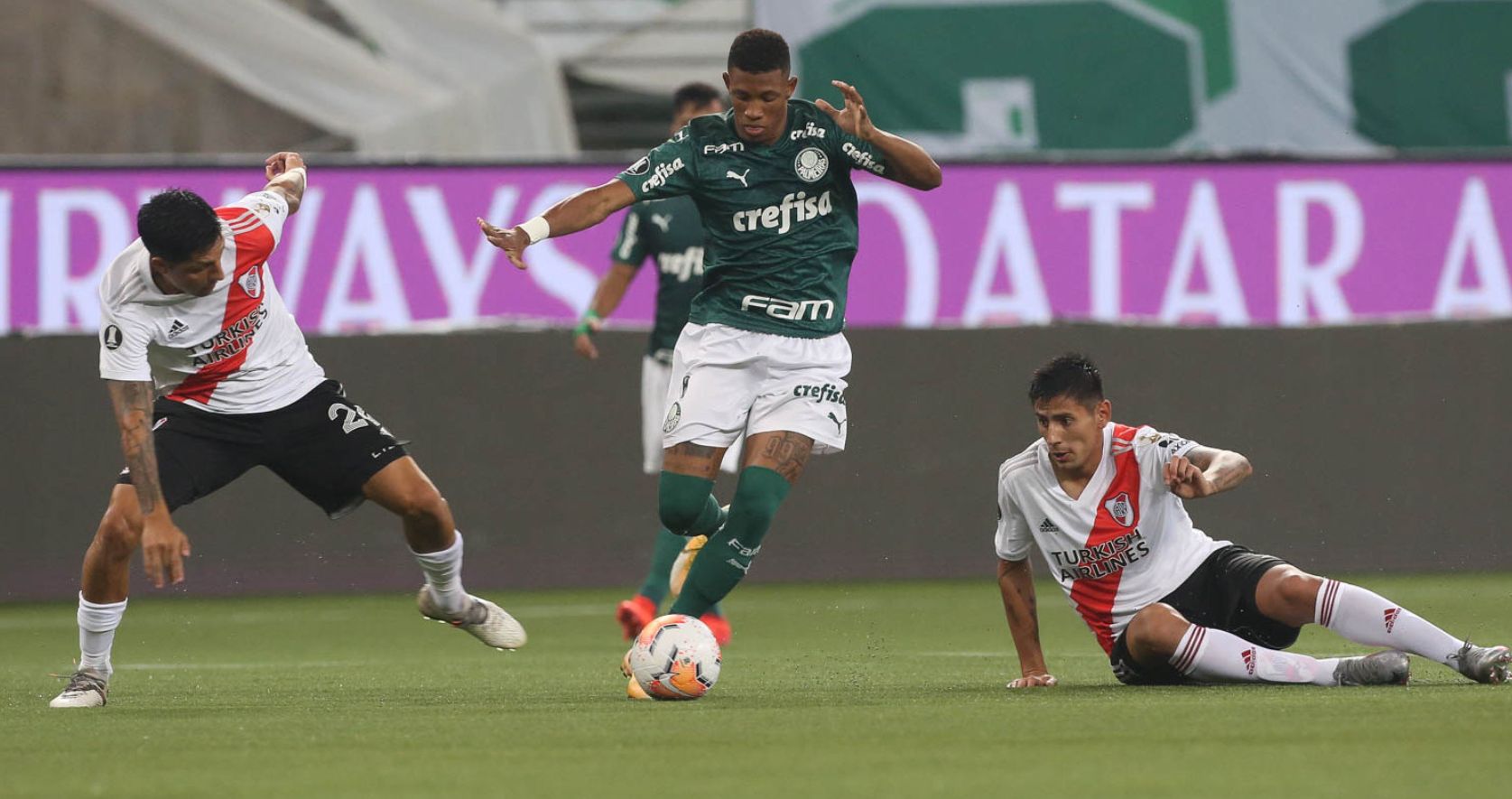 Palmeiras 1132021